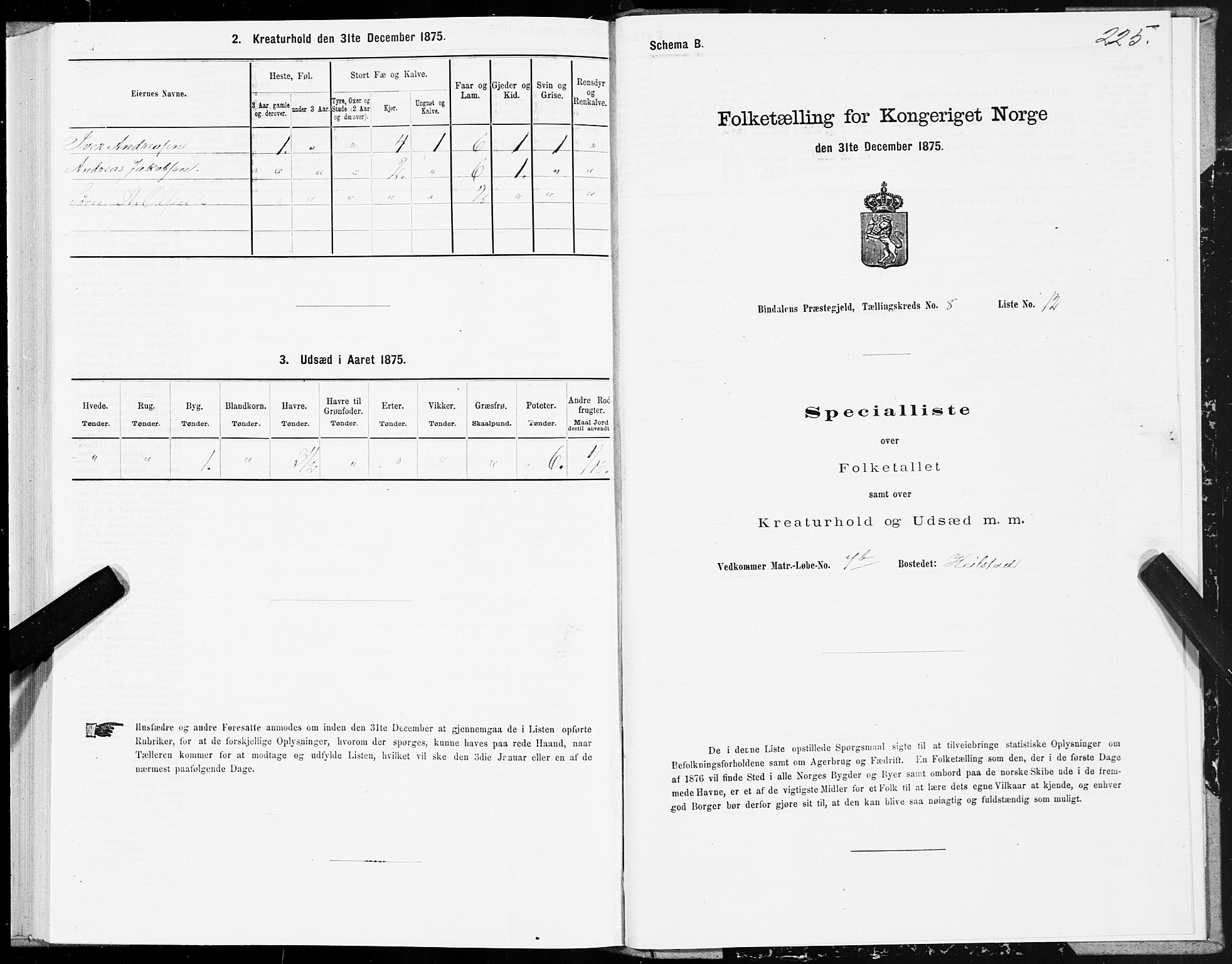 SAT, Folketelling 1875 for 1811P Bindal prestegjeld, 1875, s. 2225