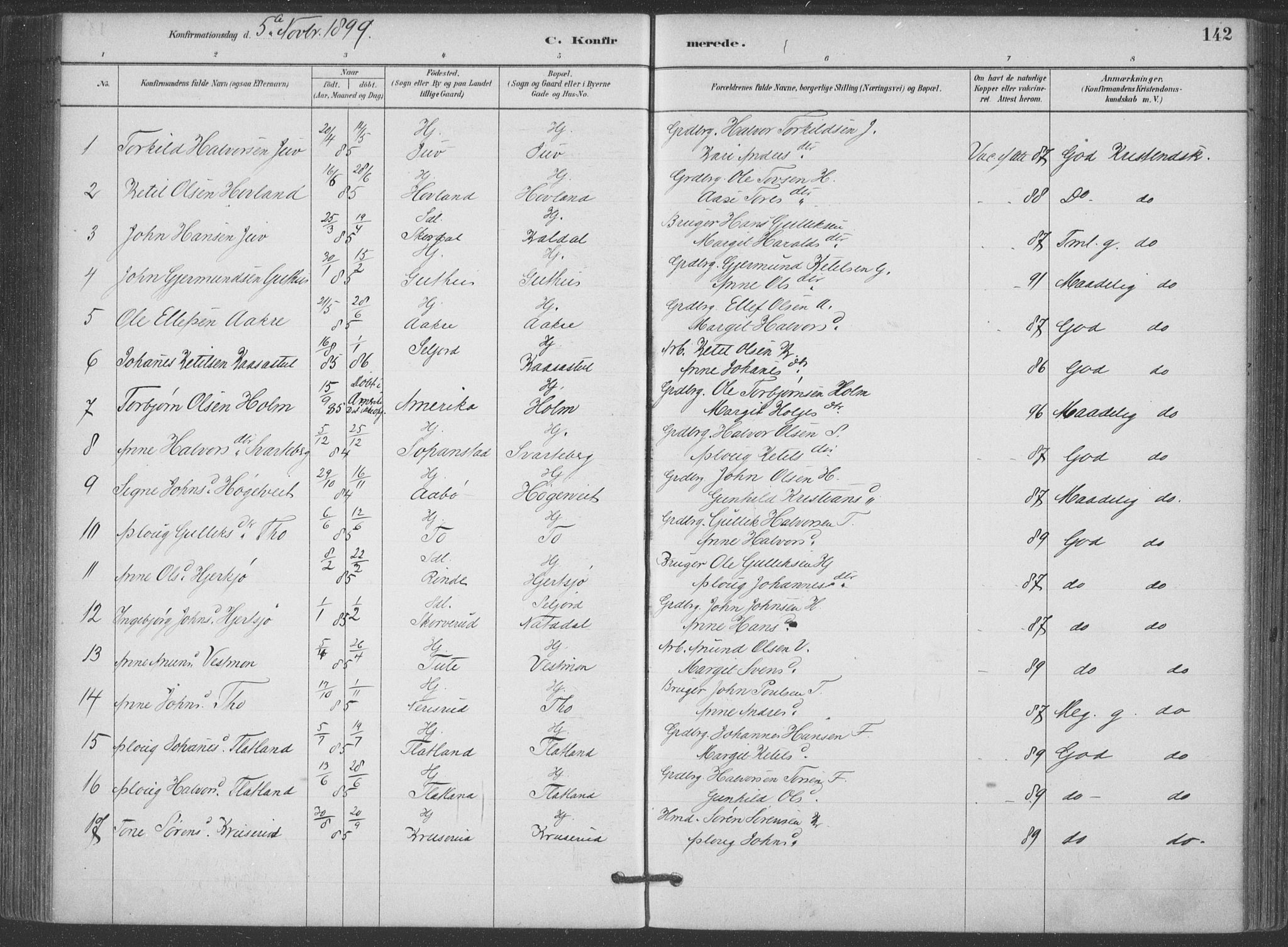 Hjartdal kirkebøker, AV/SAKO-A-270/F/Fa/L0010: Ministerialbok nr. I 10, 1880-1929, s. 142