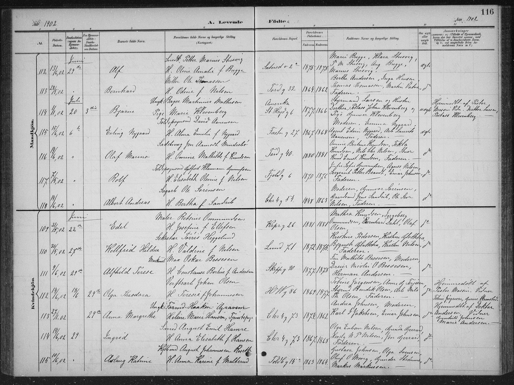 Kristiansand domprosti, AV/SAK-1112-0006/F/Fb/L0018: Klokkerbok nr. B 18, 1896-1905, s. 116