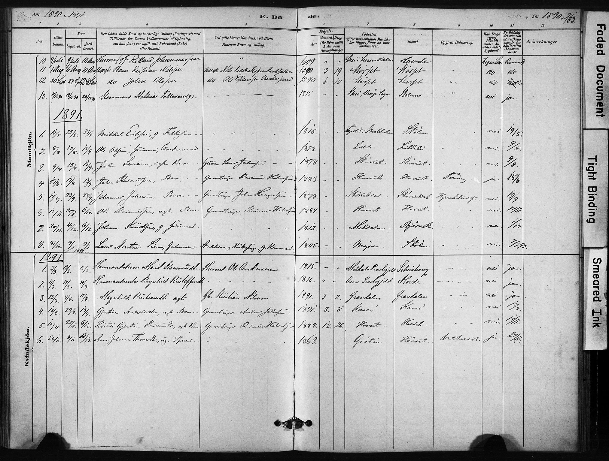 Ministerialprotokoller, klokkerbøker og fødselsregistre - Sør-Trøndelag, AV/SAT-A-1456/631/L0512: Ministerialbok nr. 631A01, 1879-1912, s. 183