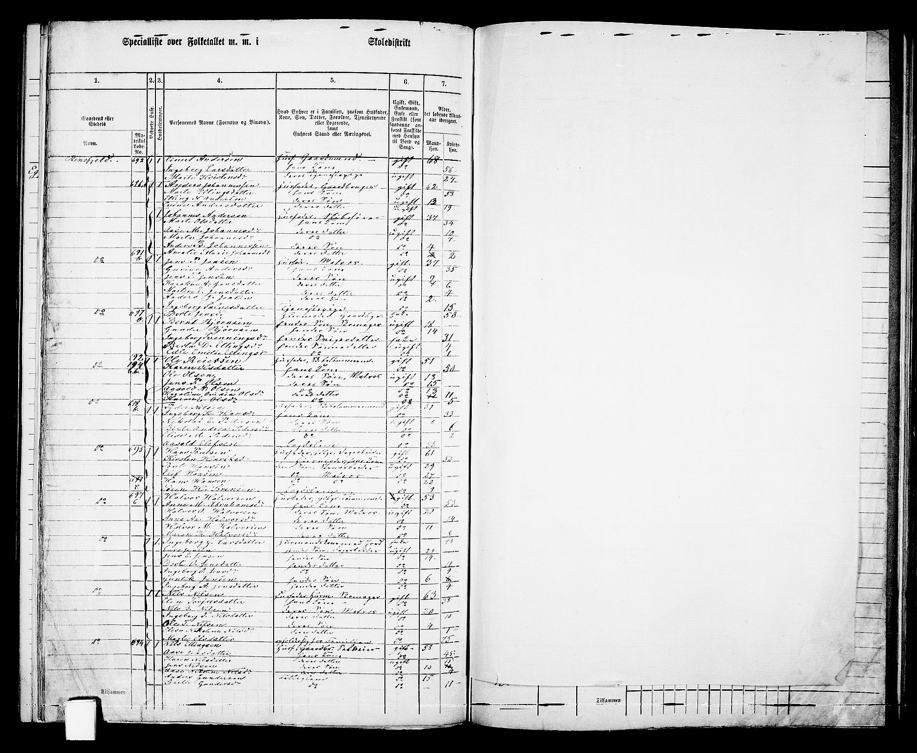 RA, Folketelling 1865 for 0915P Dypvåg prestegjeld, 1865, s. 105