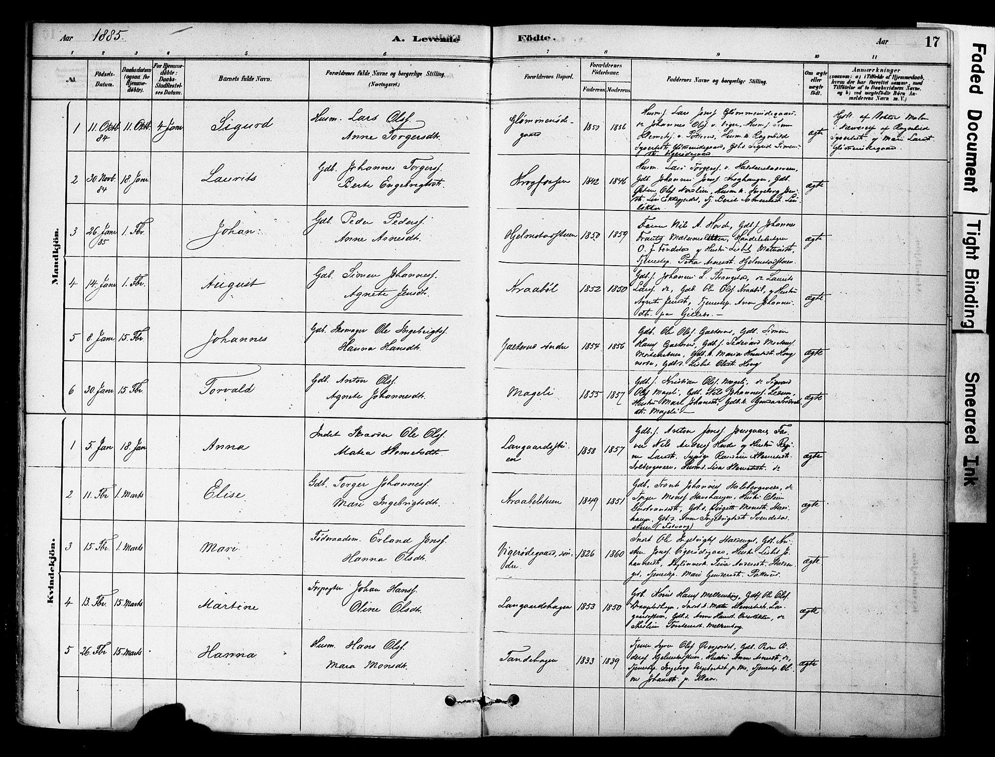Øyer prestekontor, AV/SAH-PREST-084/H/Ha/Haa/L0009: Ministerialbok nr. 9, 1878-1893, s. 17