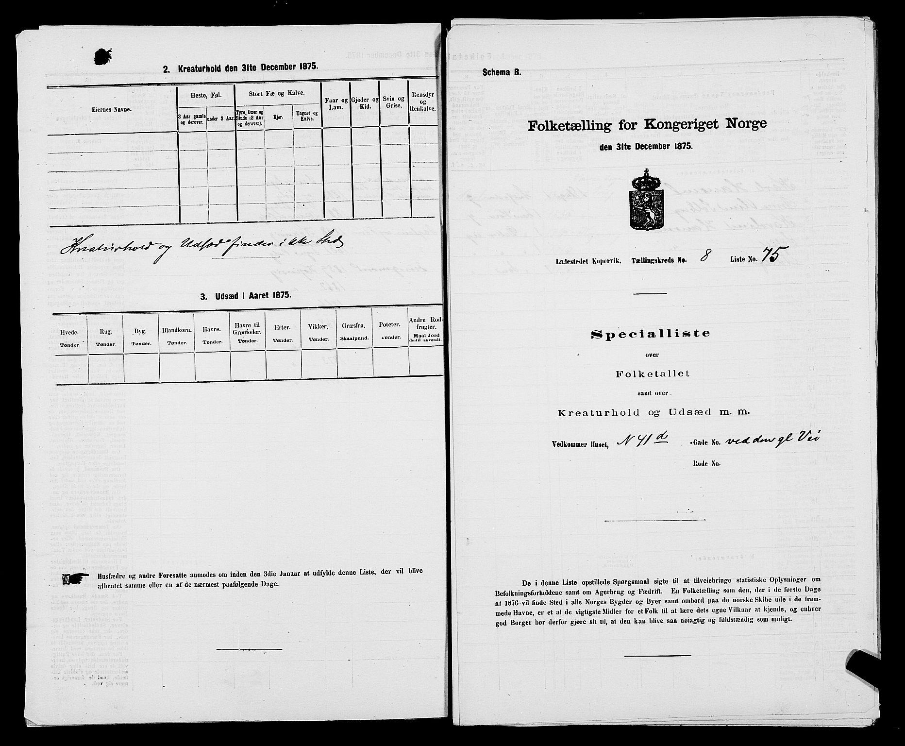 SAST, Folketelling 1875 for 1105B Avaldsnes prestegjeld, Kopervik ladested, 1875, s. 149