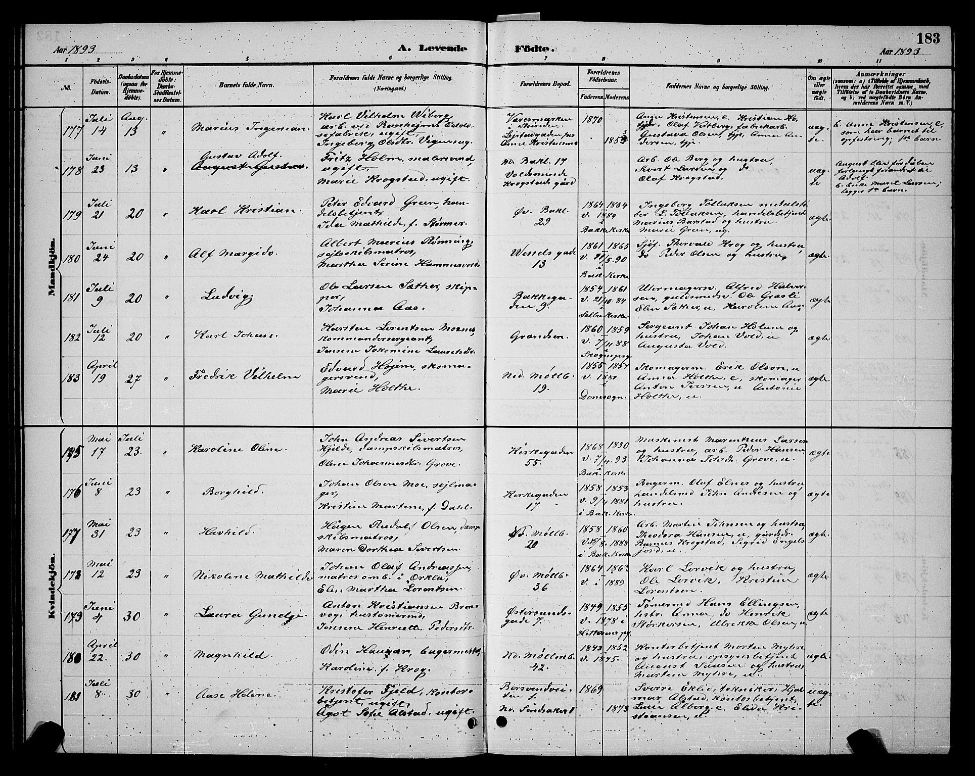 Ministerialprotokoller, klokkerbøker og fødselsregistre - Sør-Trøndelag, SAT/A-1456/604/L0222: Klokkerbok nr. 604C05, 1886-1895, s. 183