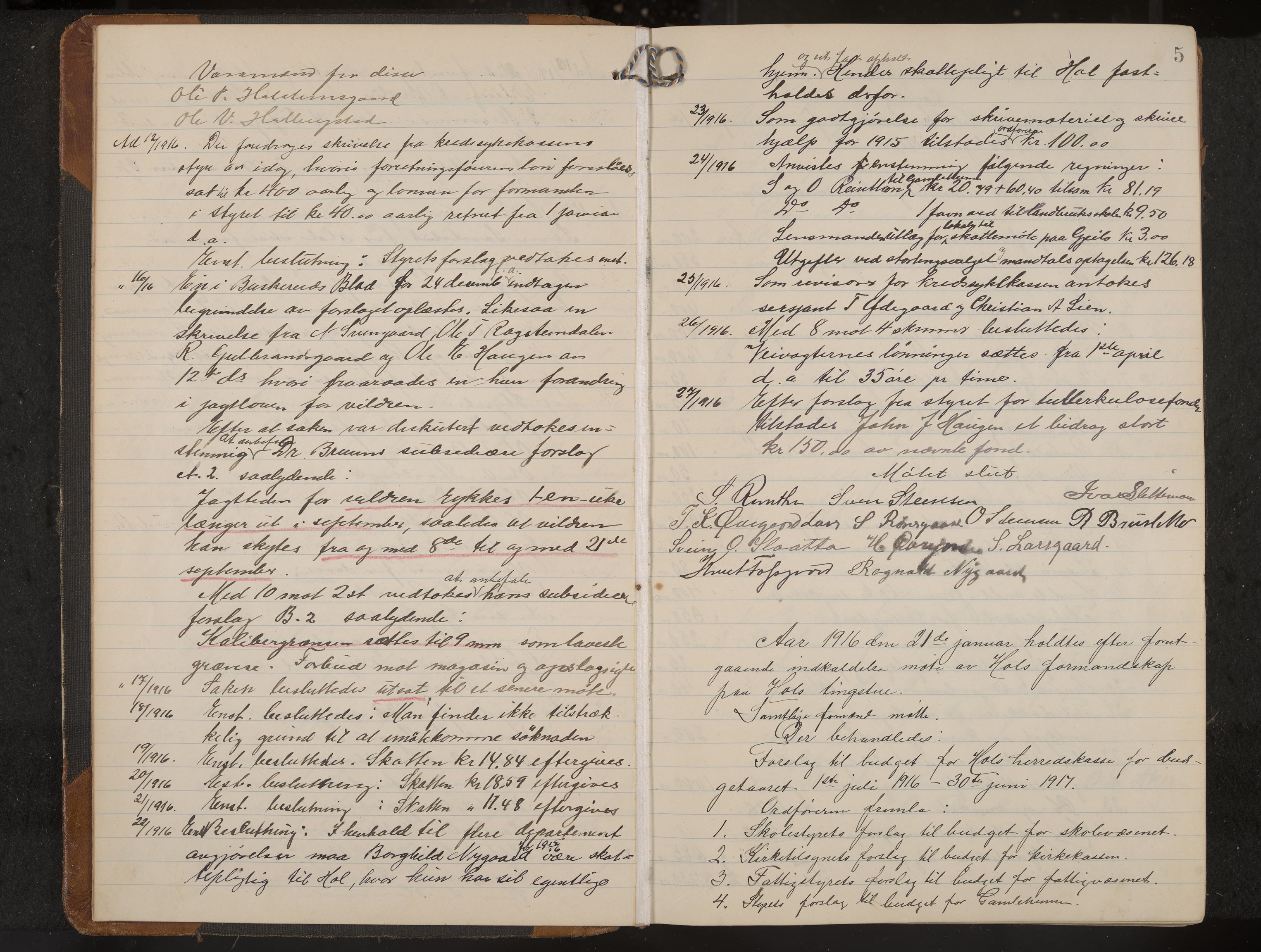 Hol formannskap og sentraladministrasjon, IKAK/0620021-1/A/L0006: Møtebok, 1916-1922, s. 5