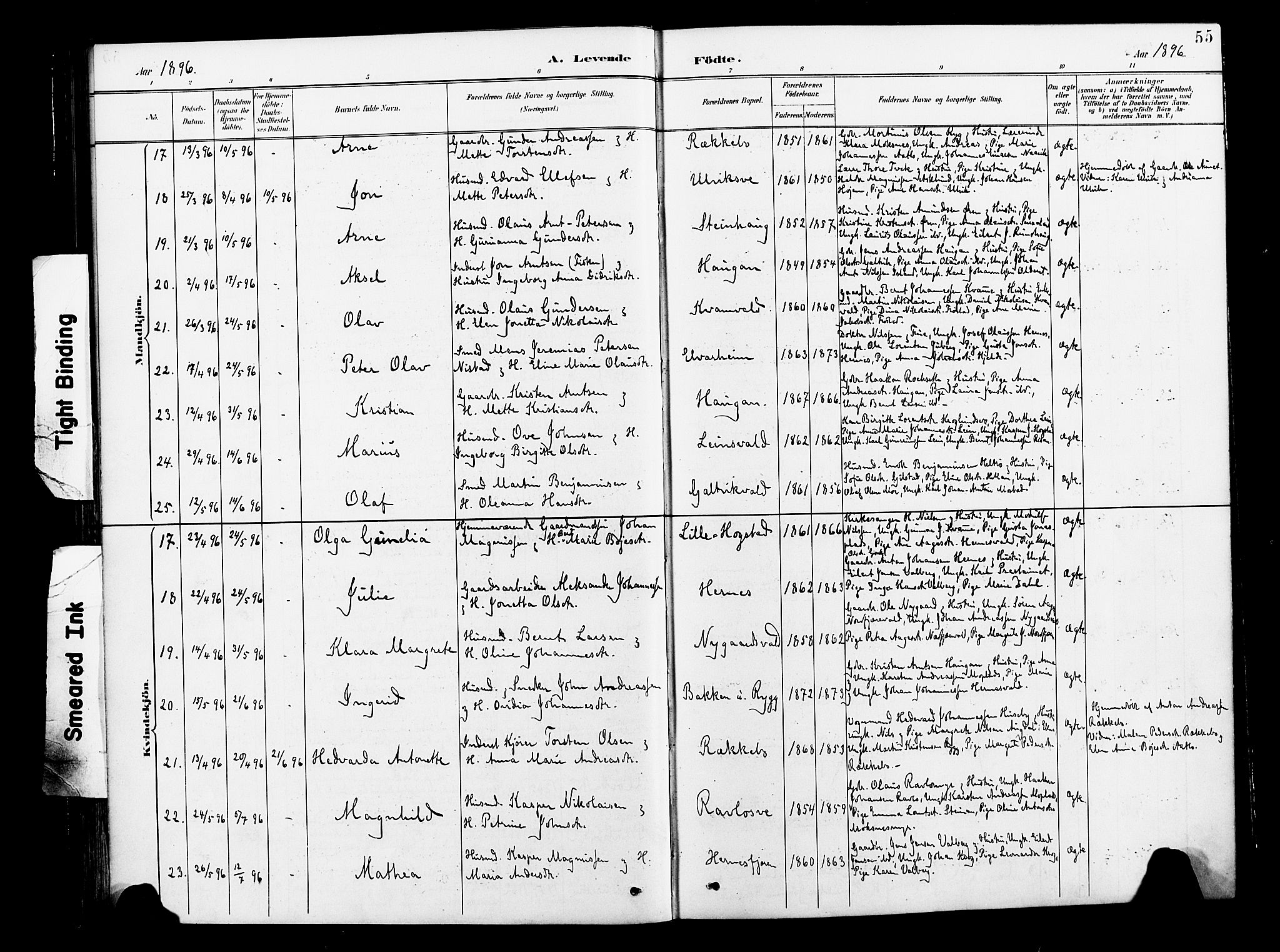 Ministerialprotokoller, klokkerbøker og fødselsregistre - Nord-Trøndelag, SAT/A-1458/713/L0121: Ministerialbok nr. 713A10, 1888-1898, s. 55