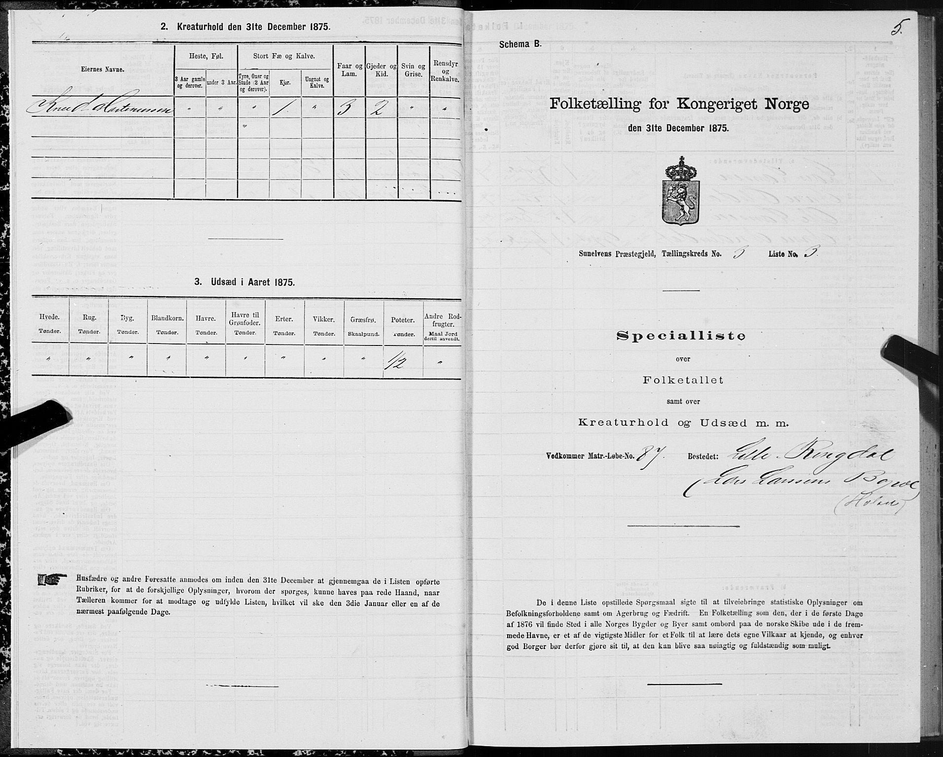 SAT, Folketelling 1875 for 1523P Sunnylven prestegjeld, 1875, s. 2005