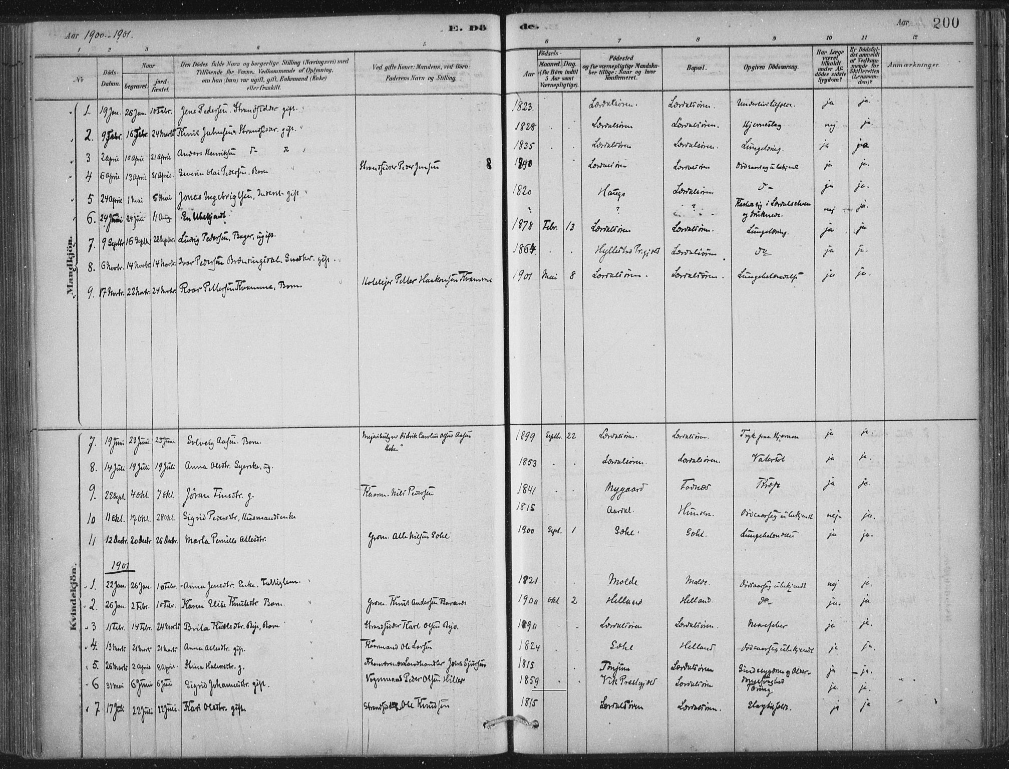 Lærdal sokneprestembete, SAB/A-81201: Ministerialbok nr. D  1, 1878-1908, s. 200