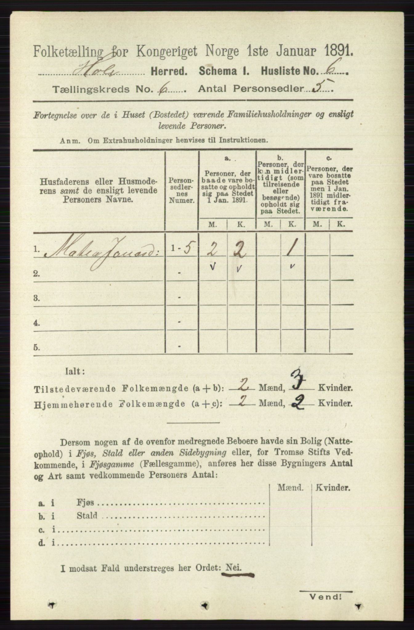 RA, Folketelling 1891 for 0612 Hole herred, 1891, s. 2976