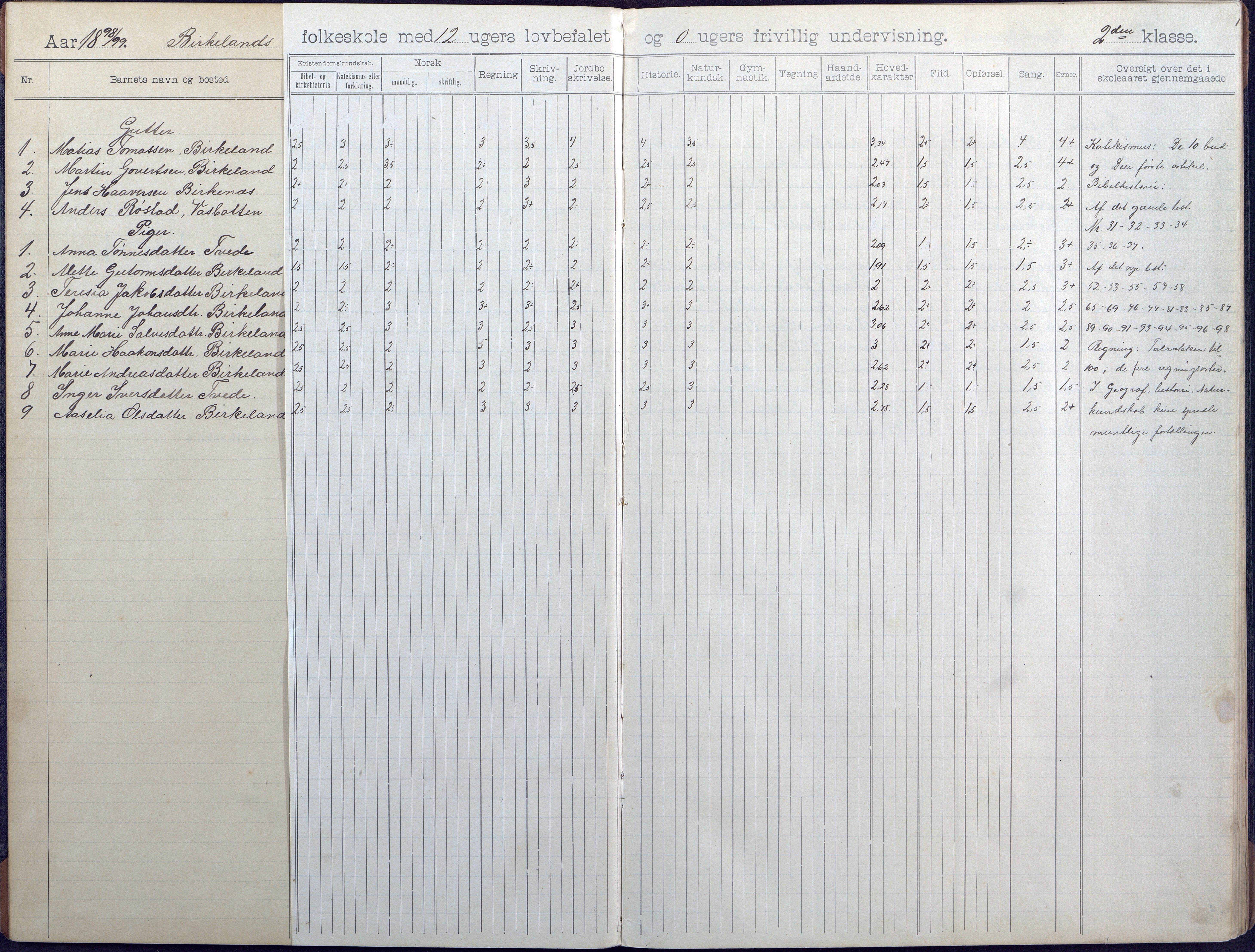 Birkenes kommune, Birkenes krets/Birkeland folkeskole frem til 1991, AAKS/KA0928-550a_91/F02/L0005: Skoleprotokoll, 1898-1911