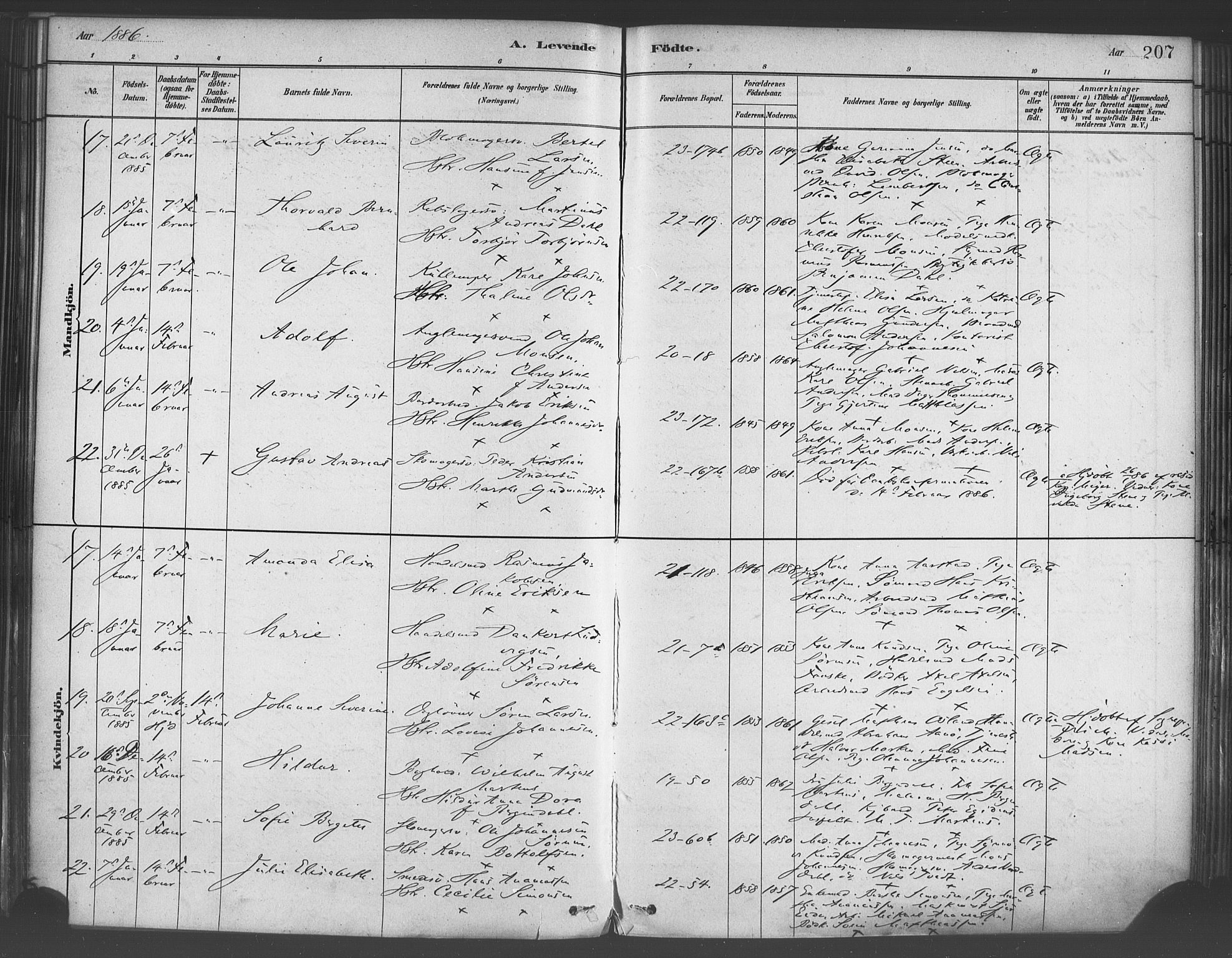 Korskirken sokneprestembete, SAB/A-76101/H/Haa/L0021: Ministerialbok nr. B 7, 1878-1889, s. 207