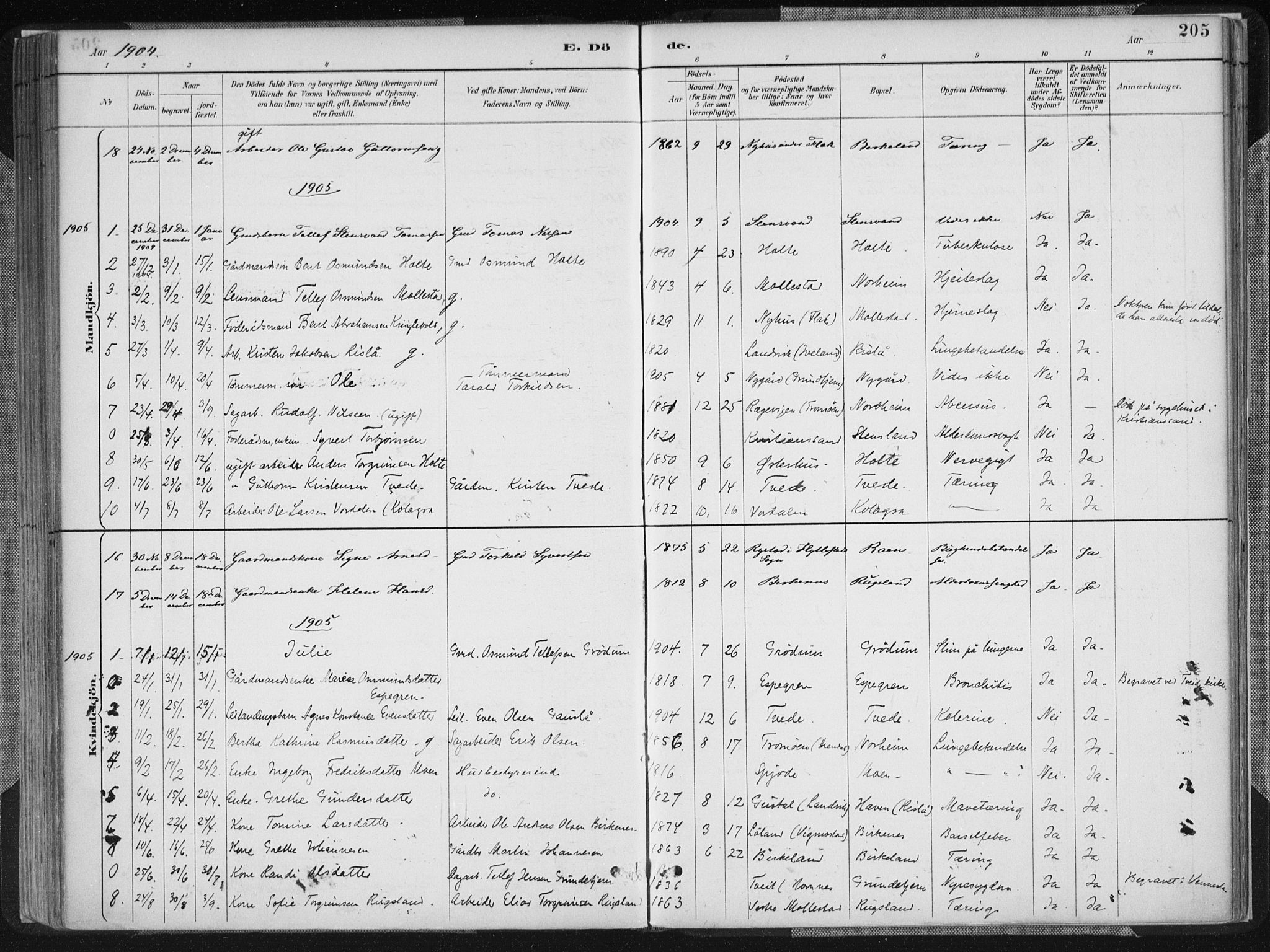 Birkenes sokneprestkontor, AV/SAK-1111-0004/F/Fa/L0005: Ministerialbok nr. A 5, 1887-1907, s. 205