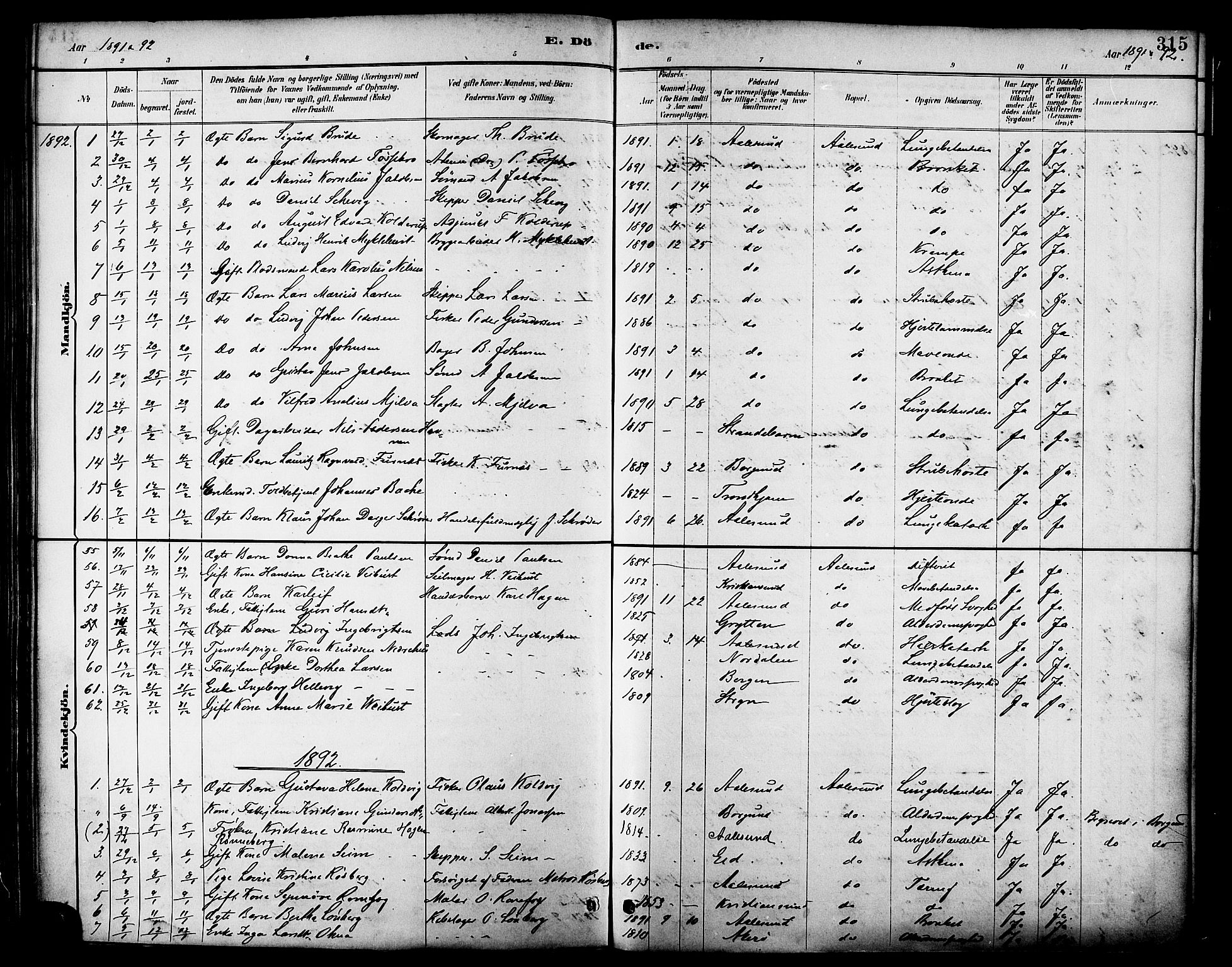 Ministerialprotokoller, klokkerbøker og fødselsregistre - Møre og Romsdal, AV/SAT-A-1454/529/L0455: Ministerialbok nr. 529A05, 1885-1893, s. 315