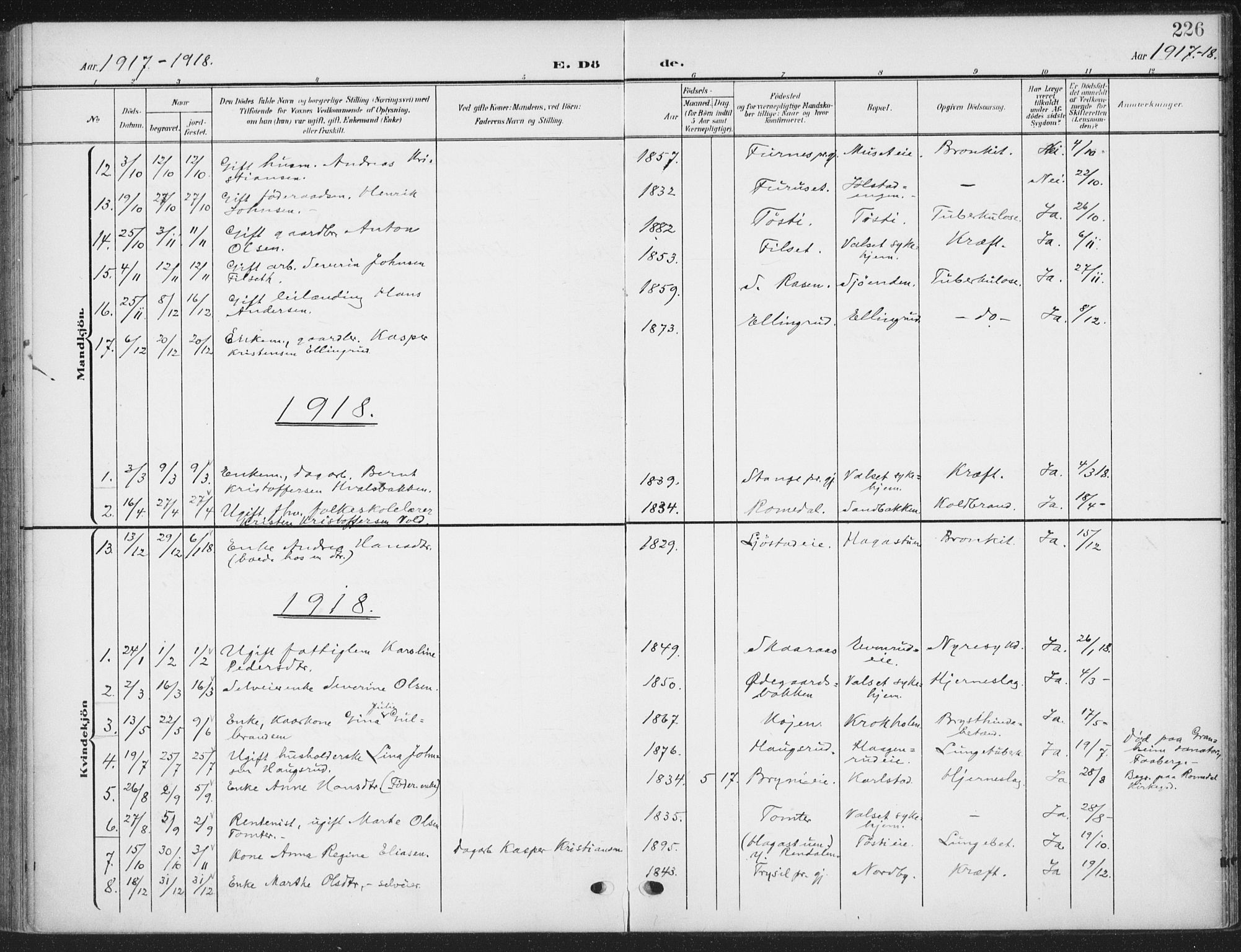 Romedal prestekontor, SAH/PREST-004/K/L0009: Ministerialbok nr. 9, 1906-1929, s. 226