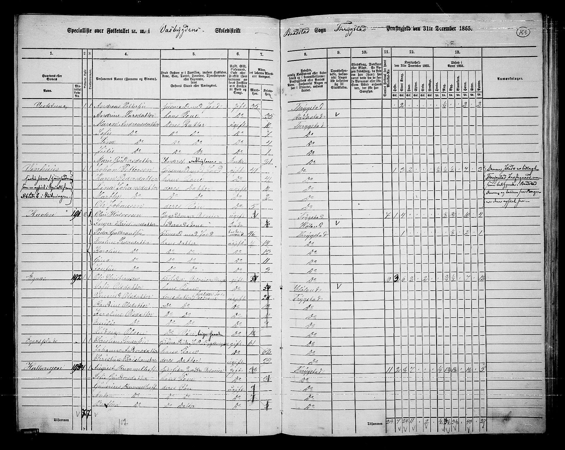 RA, Folketelling 1865 for 0122P Trøgstad prestegjeld, 1865, s. 135