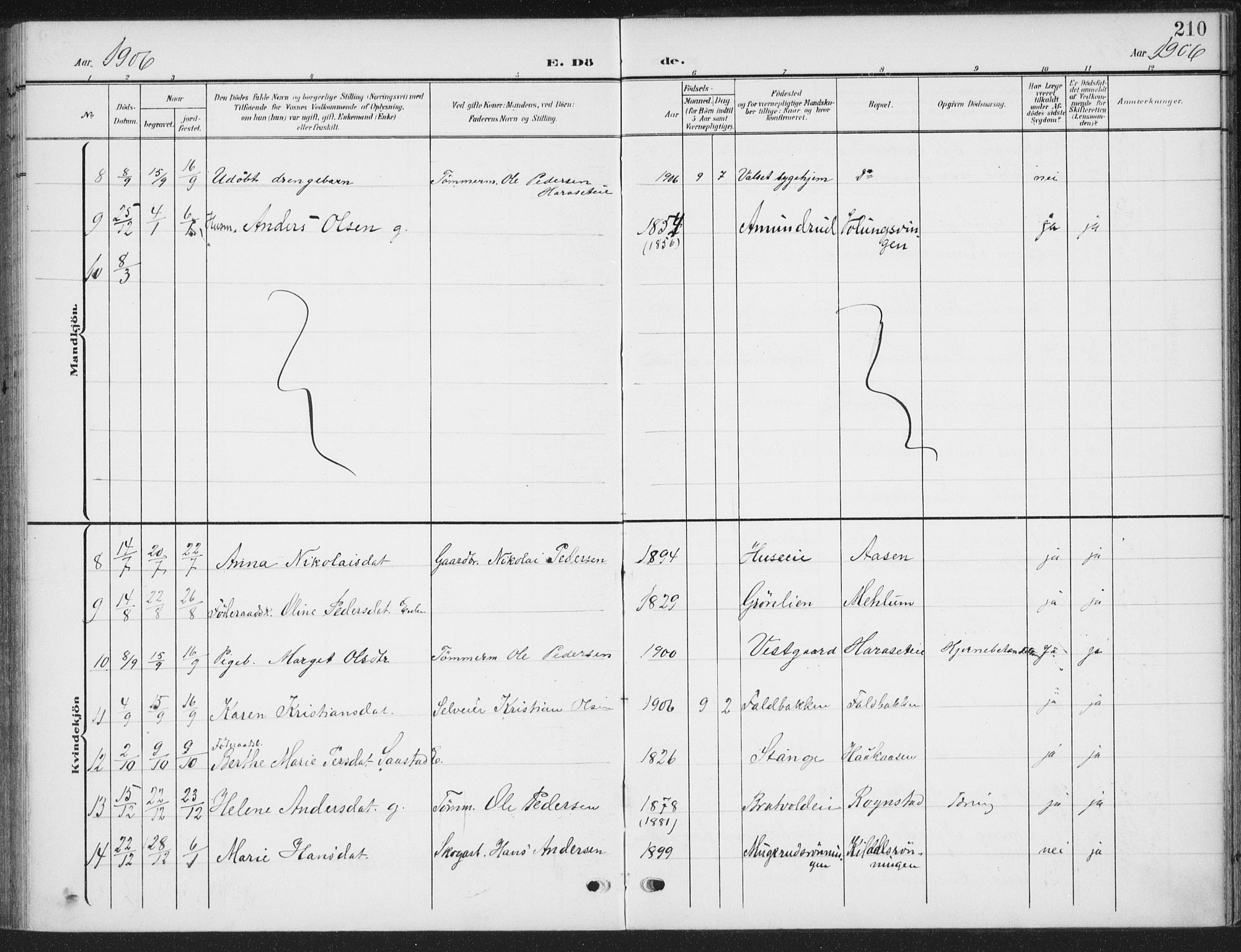 Romedal prestekontor, AV/SAH-PREST-004/K/L0009: Ministerialbok nr. 9, 1906-1929, s. 210