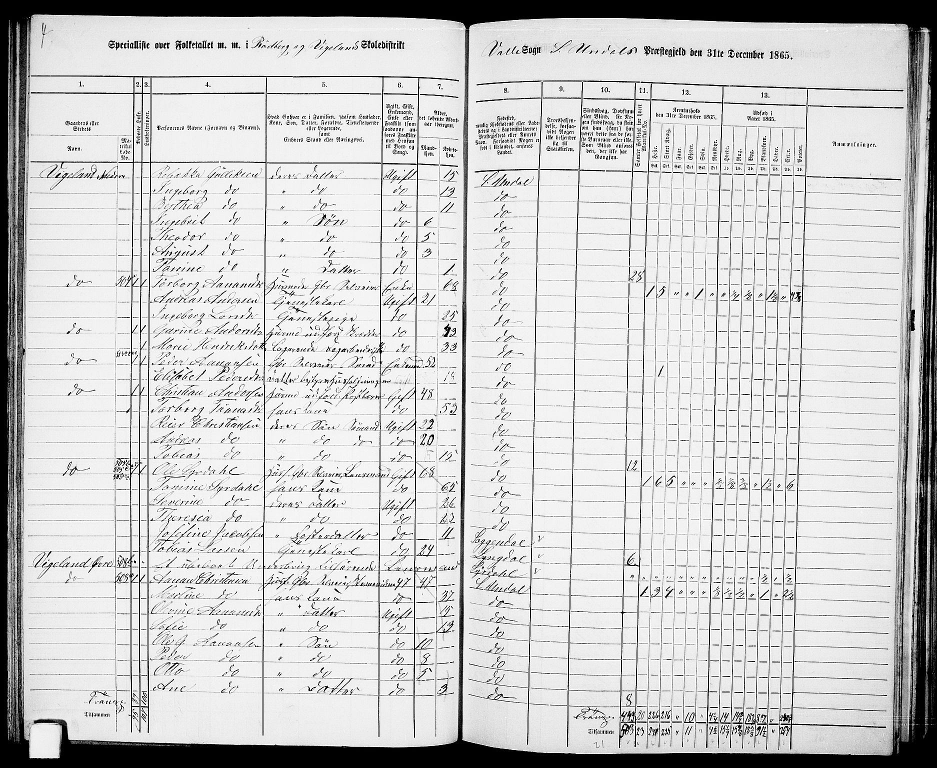 RA, Folketelling 1865 for 1029P Sør-Audnedal prestegjeld, 1865, s. 97