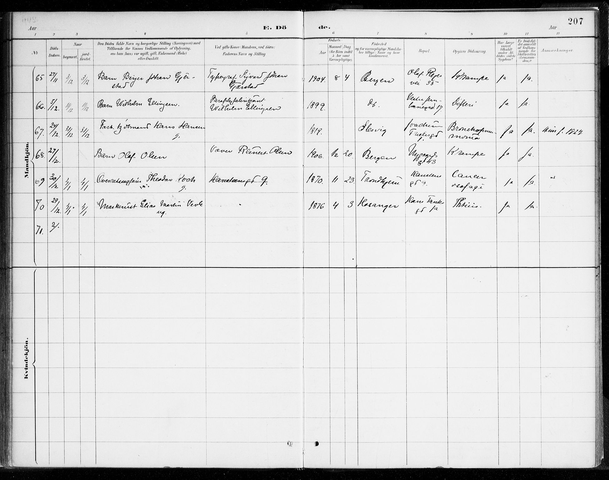 Johanneskirken sokneprestembete, AV/SAB-A-76001/H/Haa/L0019: Ministerialbok nr. E 1, 1885-1915, s. 207