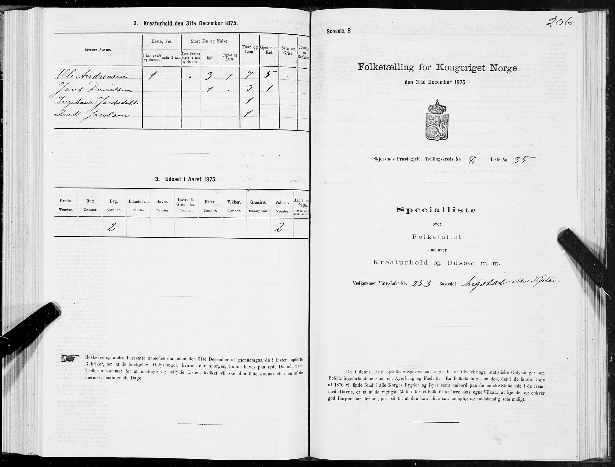 SAT, Folketelling 1875 for 1842P Skjerstad prestegjeld, 1875, s. 4206