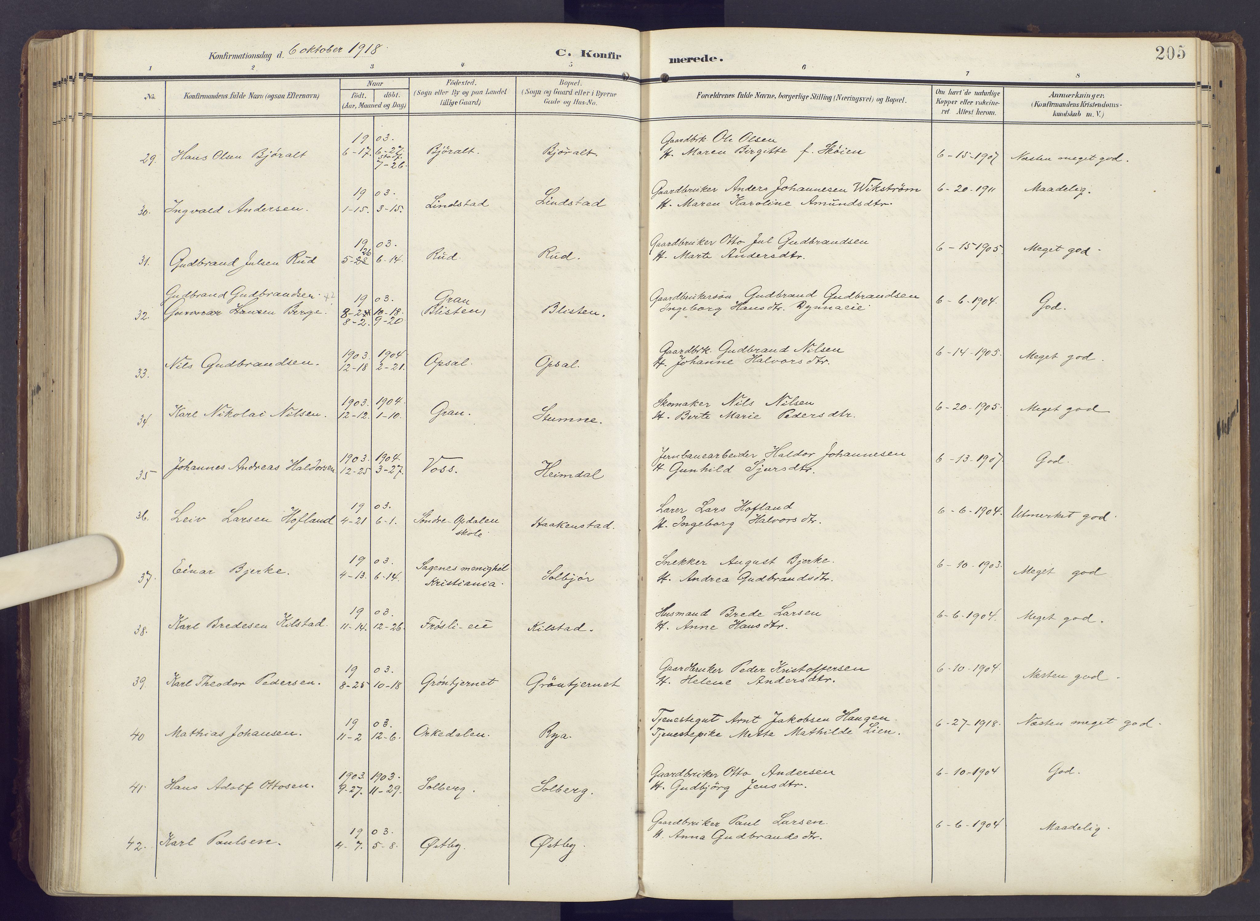 Lunner prestekontor, AV/SAH-PREST-118/H/Ha/Haa/L0001: Ministerialbok nr. 1, 1907-1922, s. 205