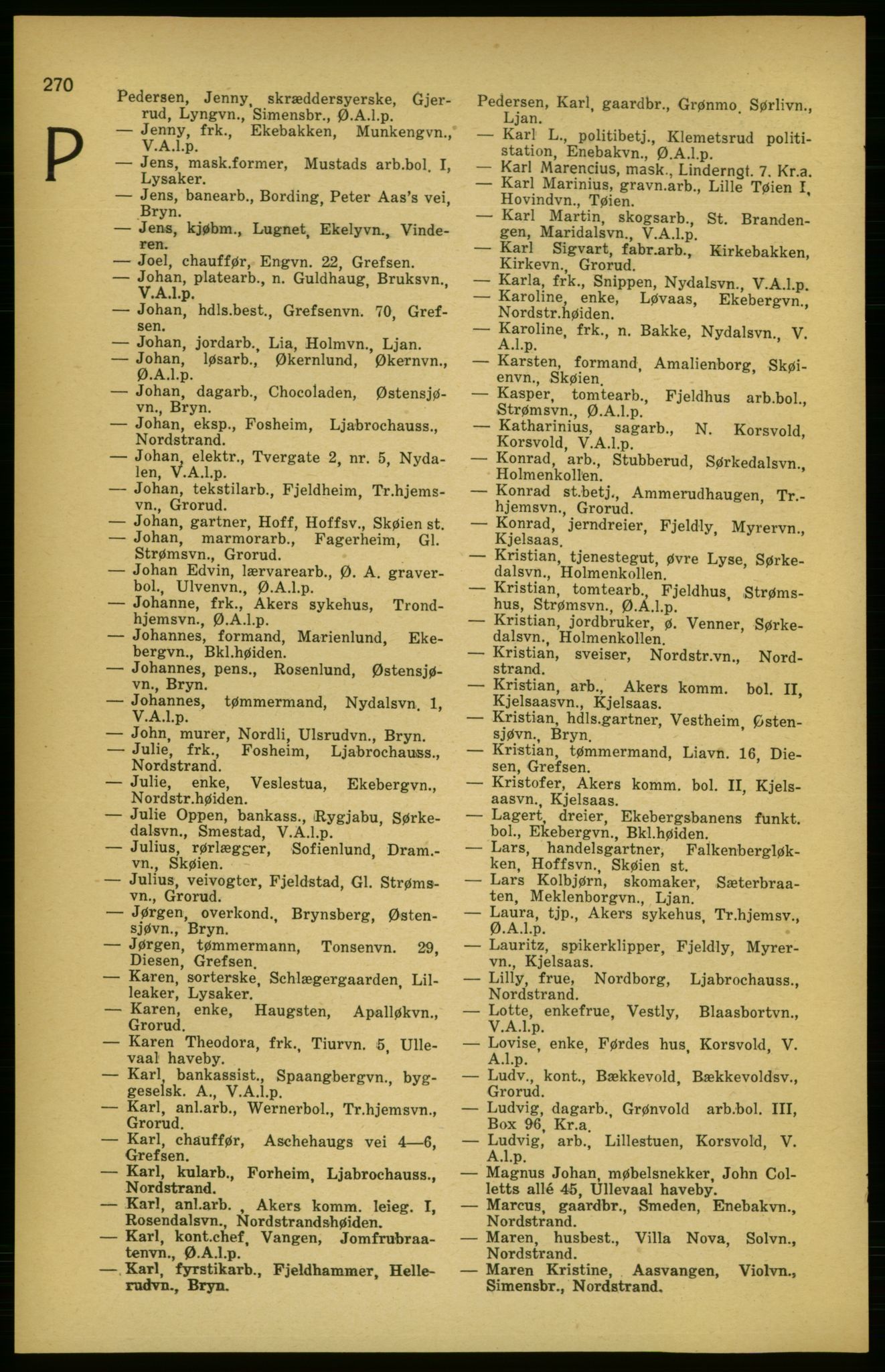 Aker adressebok/adressekalender, PUBL/001/A/003: Akers adressekalender, 1924-1925, s. 270