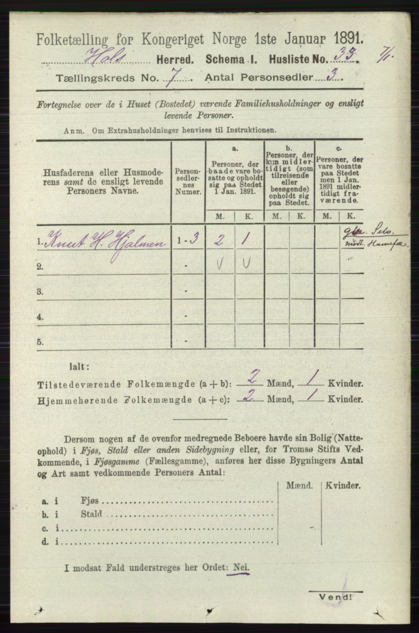 RA, Folketelling 1891 for 0620 Hol herred, 1891, s. 2010