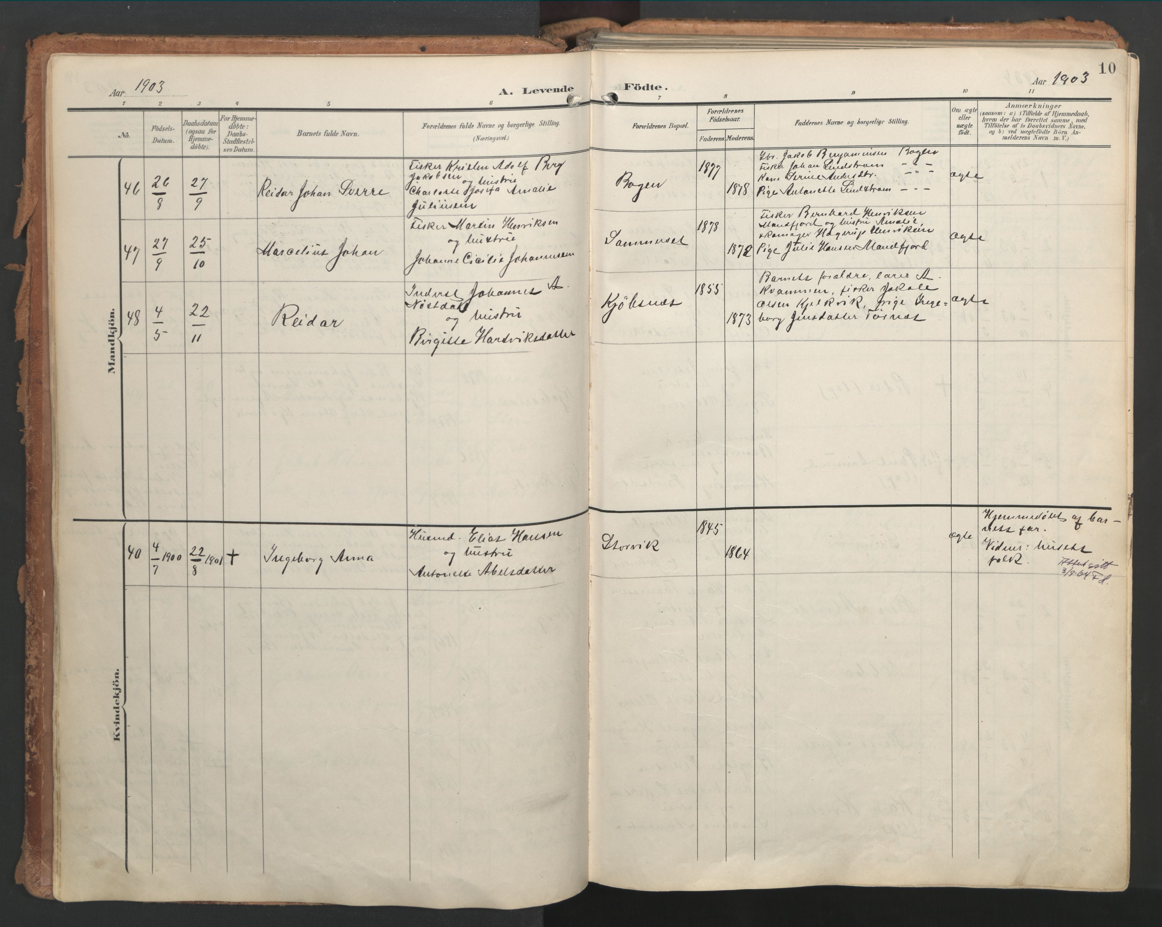 Ministerialprotokoller, klokkerbøker og fødselsregistre - Nordland, AV/SAT-A-1459/861/L0871: Ministerialbok nr. 861A06, 1903-1916, s. 10
