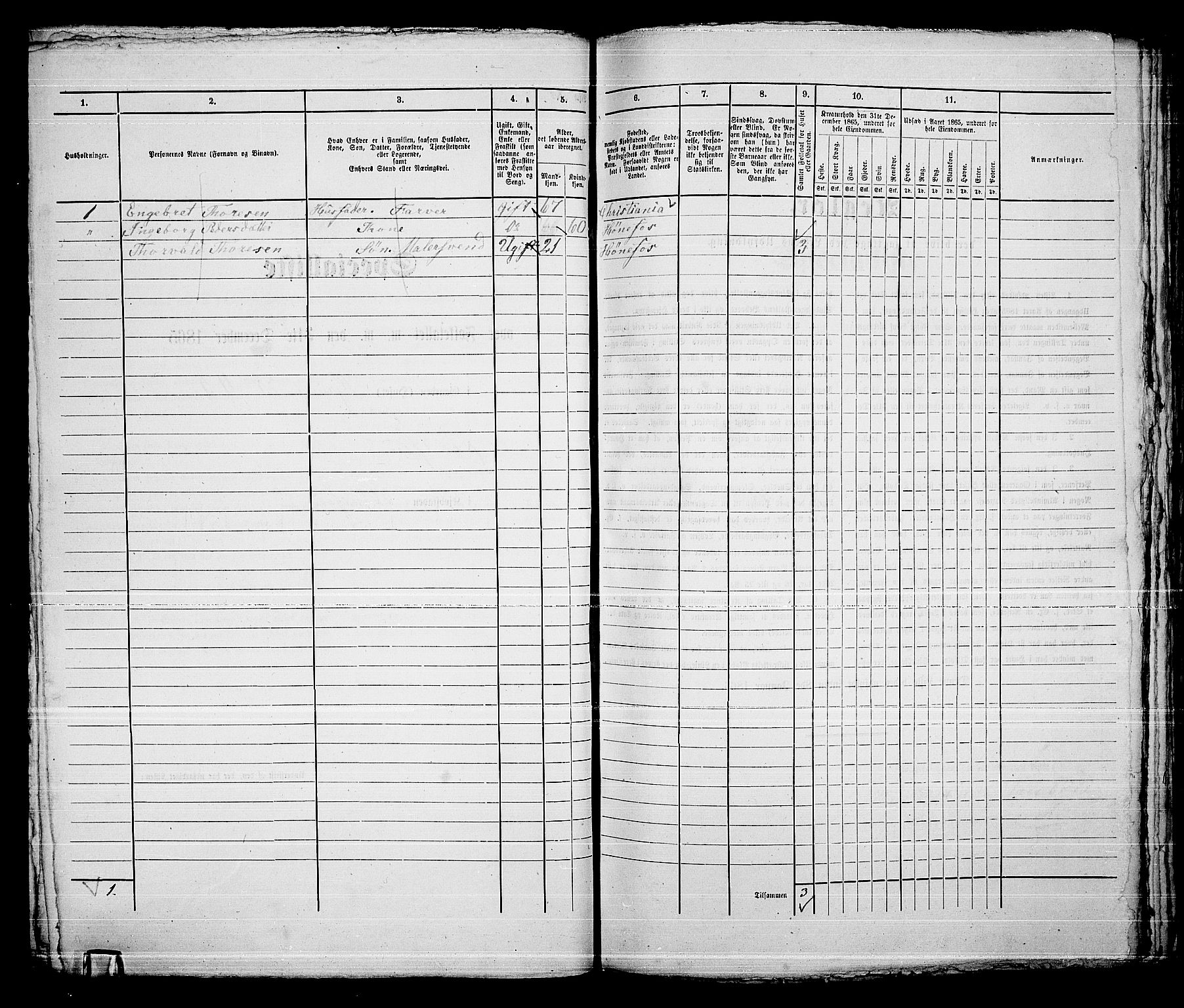 RA, Folketelling 1865 for 0601B Norderhov prestegjeld, Hønefoss kjøpstad, 1865, s. 113