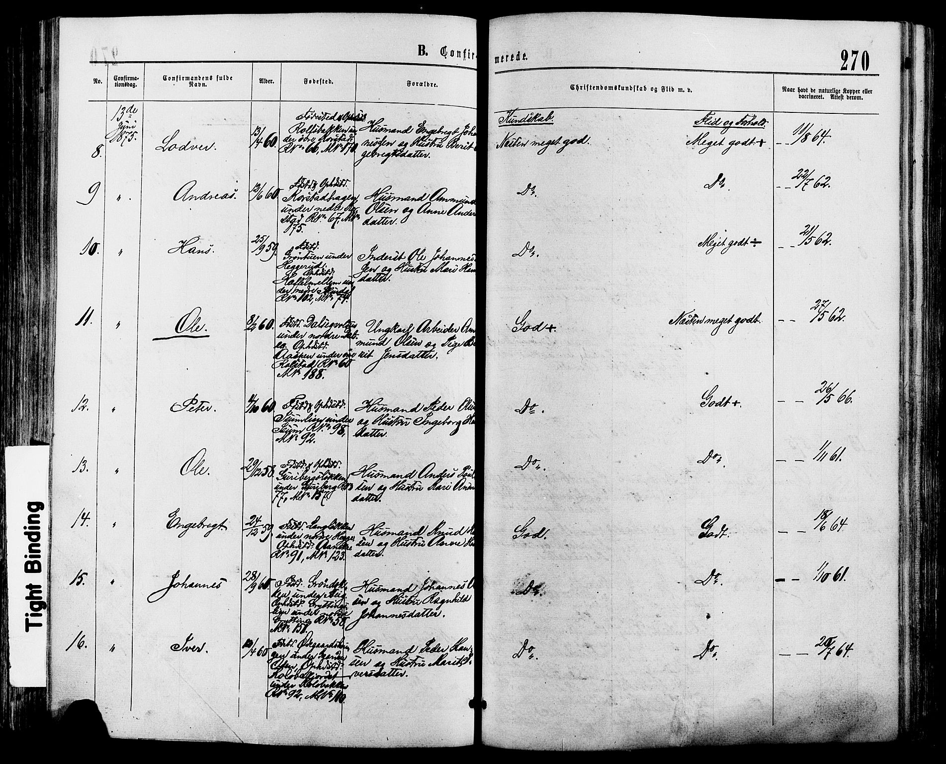 Sør-Fron prestekontor, SAH/PREST-010/H/Ha/Haa/L0002: Ministerialbok nr. 2, 1864-1880, s. 270