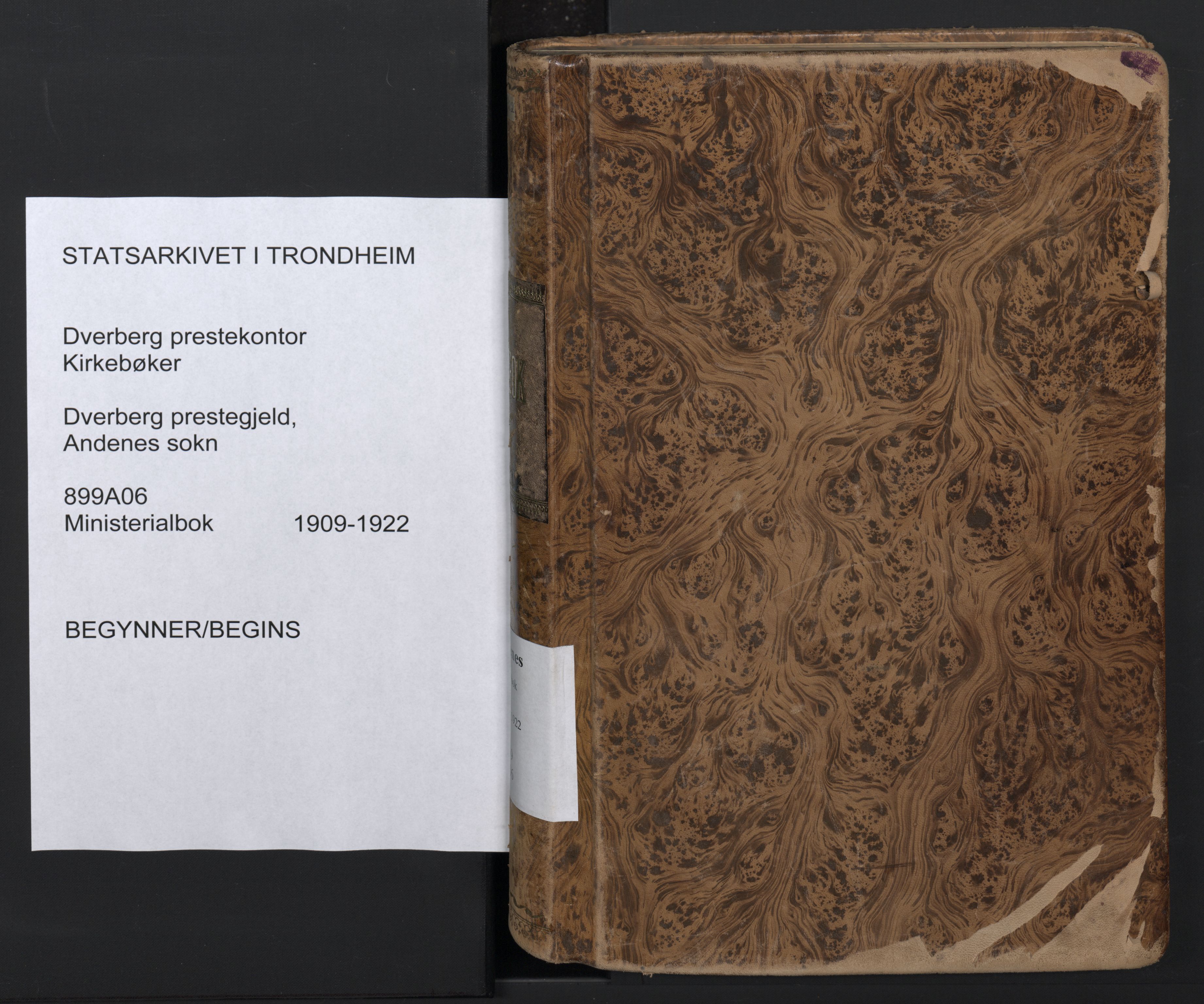Ministerialprotokoller, klokkerbøker og fødselsregistre - Nordland, AV/SAT-A-1459/899/L1438: Ministerialbok nr. 899A06, 1909-1922