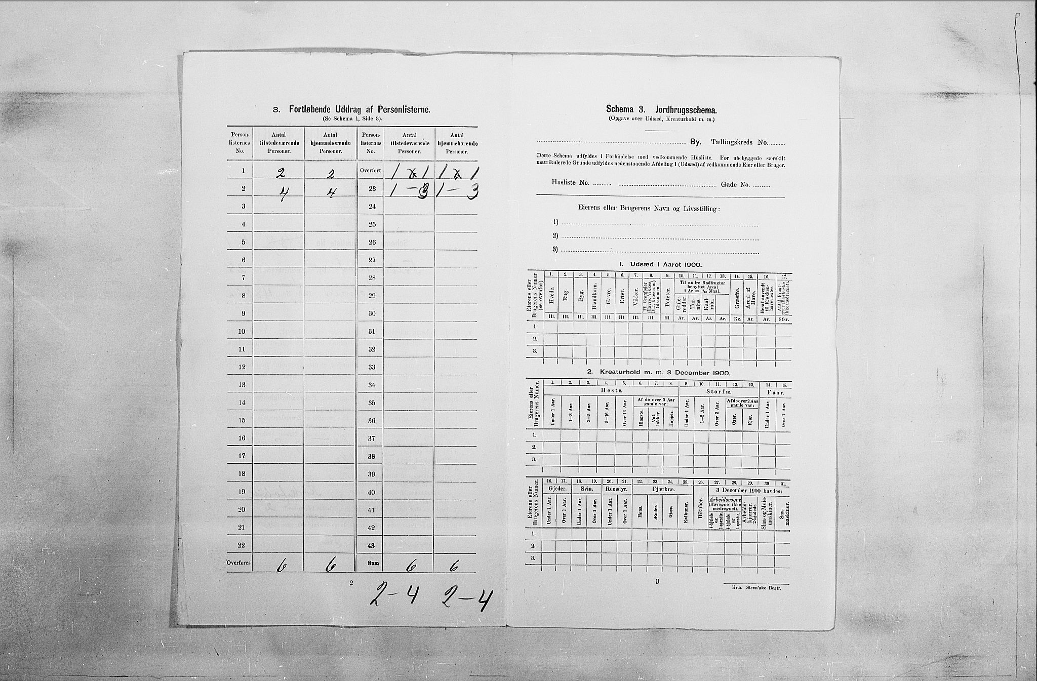 SAO, Folketelling 1900 for 0103 Fredrikstad kjøpstad, 1900