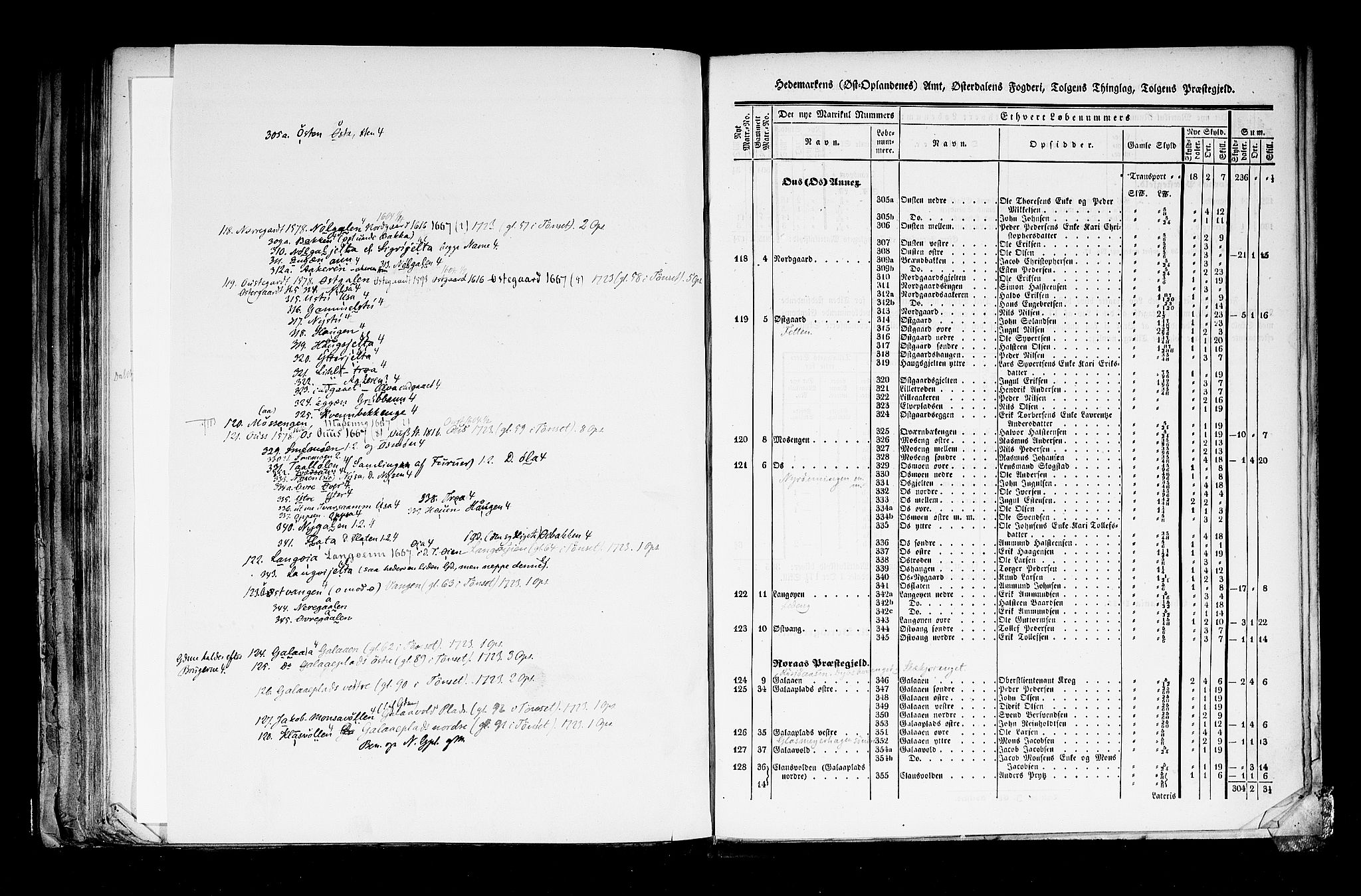 Rygh, AV/RA-PA-0034/F/Fb/L0003: Matrikkelen for 1838 - Hedemarken amt (Hedmark fylke), 1838