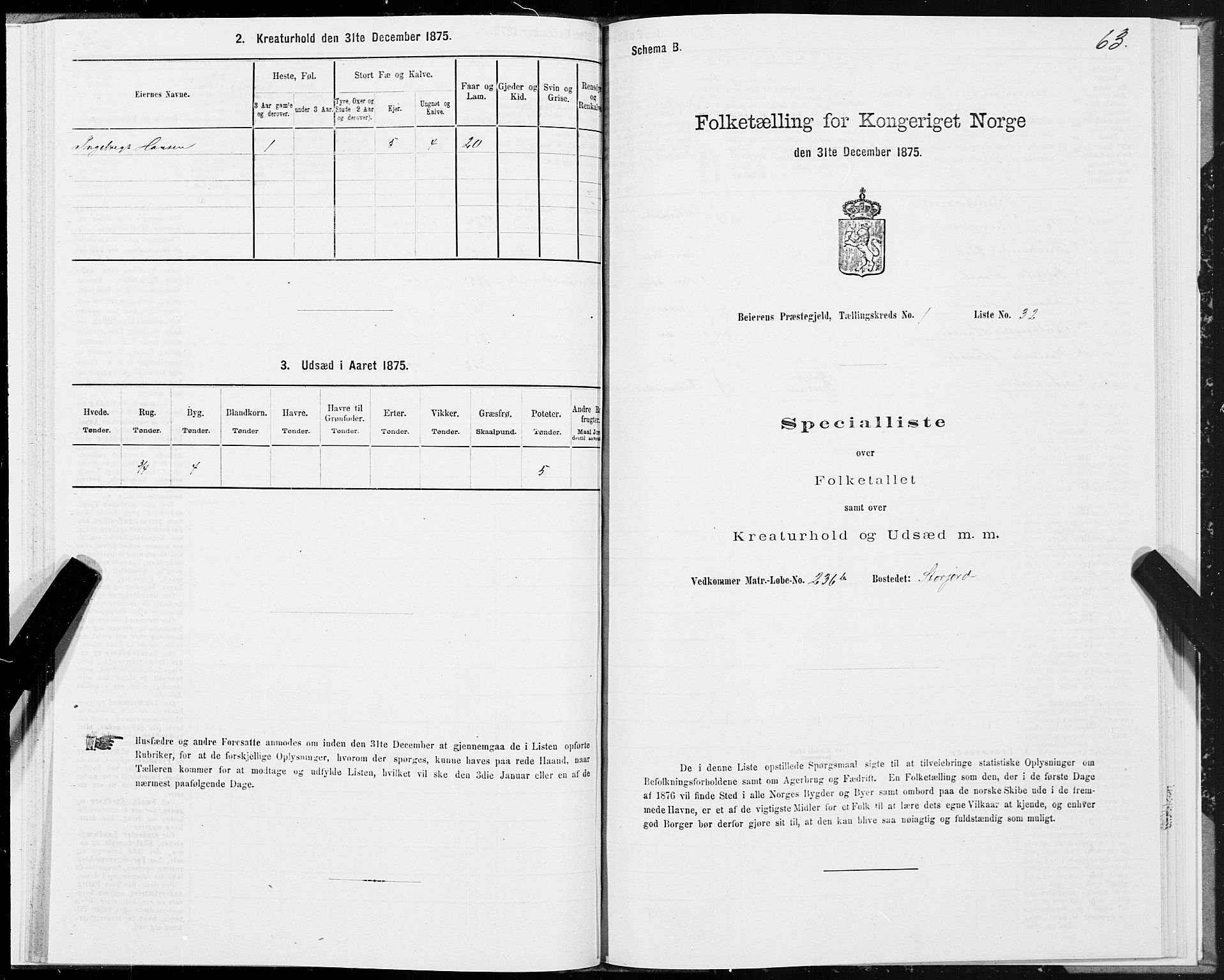 SAT, Folketelling 1875 for 1839P Beiarn prestegjeld, 1875, s. 1063