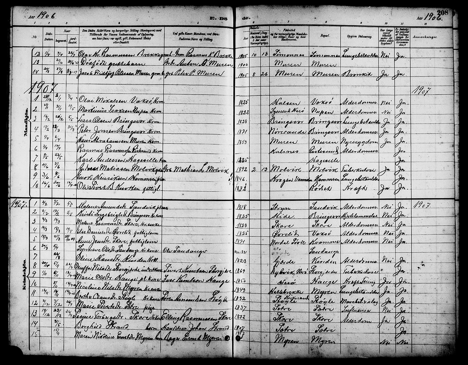 Ministerialprotokoller, klokkerbøker og fødselsregistre - Møre og Romsdal, AV/SAT-A-1454/503/L0049: Klokkerbok nr. 503C04, 1894-1915, s. 208