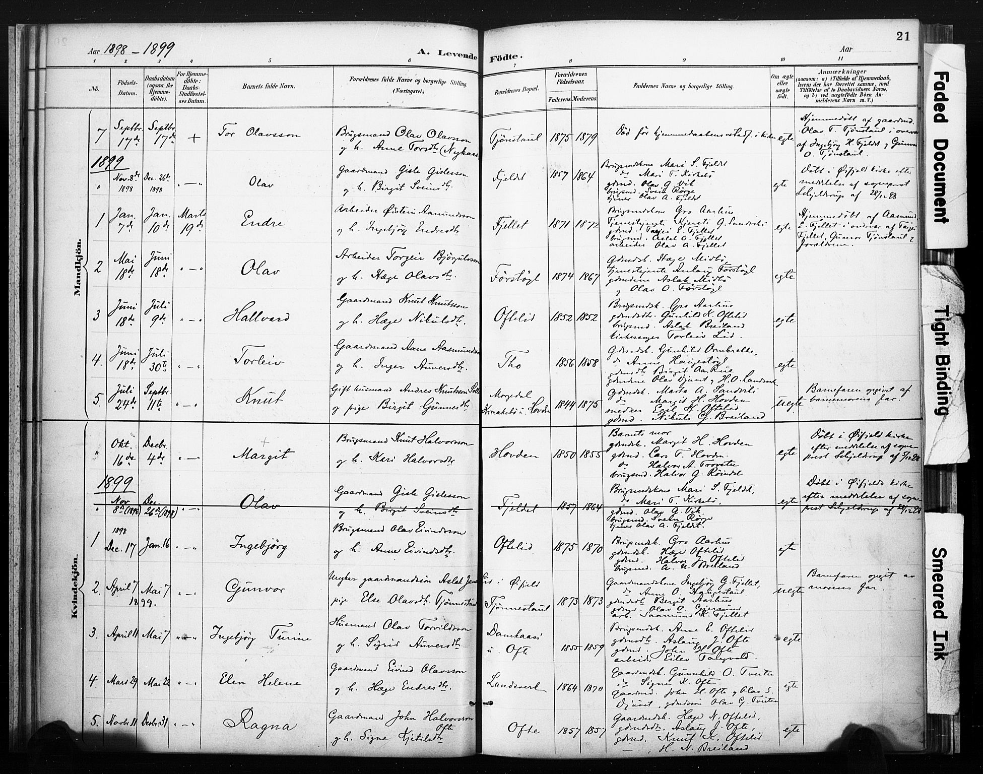 Lårdal kirkebøker, AV/SAKO-A-284/F/Fc/L0002: Ministerialbok nr. III 2, 1887-1906, s. 21