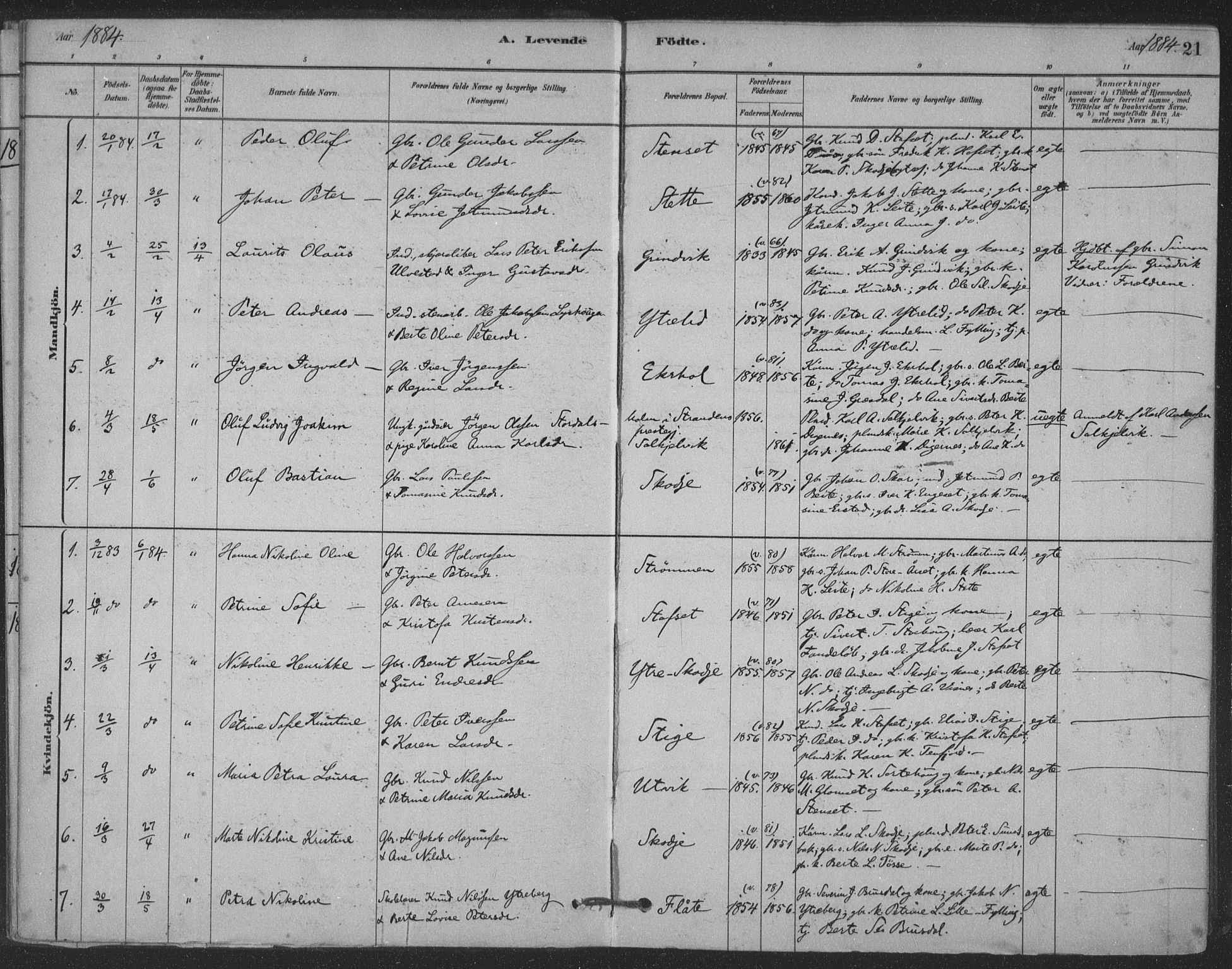 Ministerialprotokoller, klokkerbøker og fødselsregistre - Møre og Romsdal, AV/SAT-A-1454/524/L0356: Ministerialbok nr. 524A08, 1880-1899, s. 21