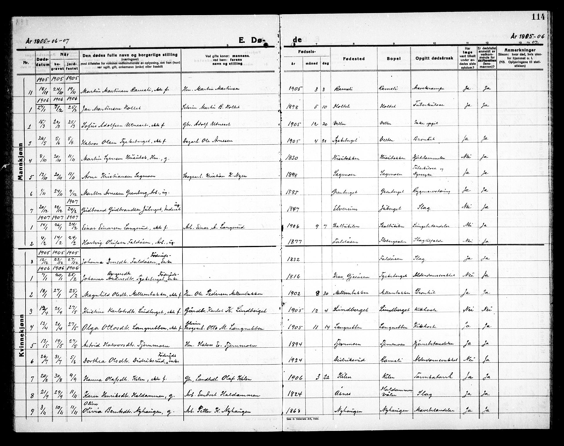 Åsnes prestekontor, SAH/PREST-042/H/Ha/Haa/L0000E: Ministerialbok nr. 0C, 1890-1929, s. 114