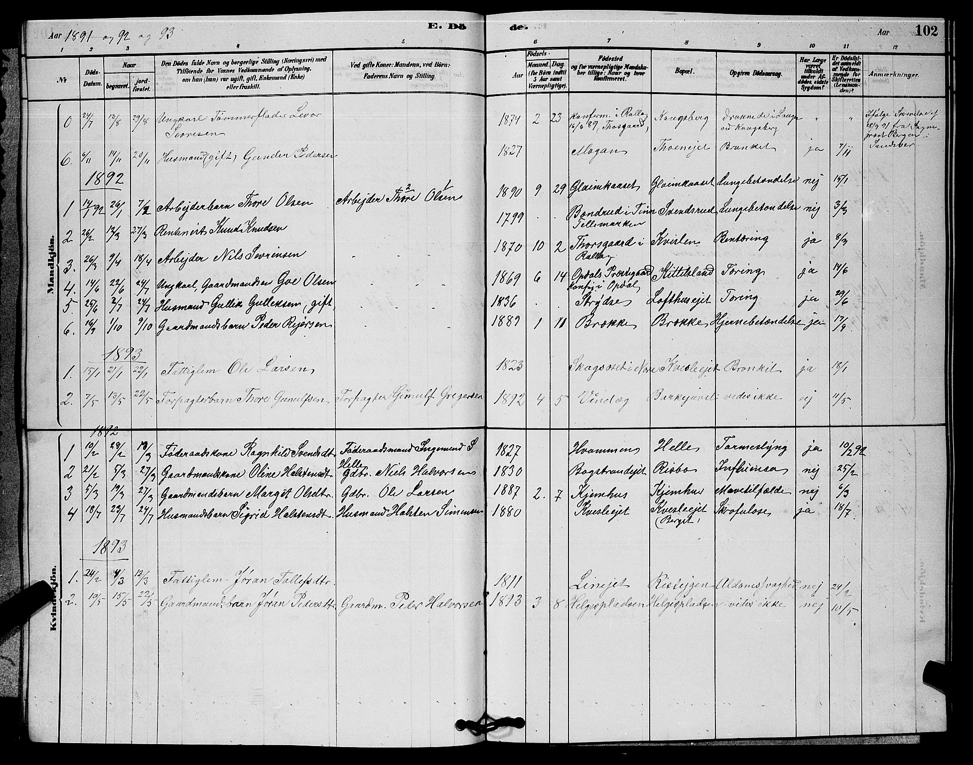 Rollag kirkebøker, AV/SAKO-A-240/G/Gb/L0002: Klokkerbok nr. II 2, 1878-1898, s. 102