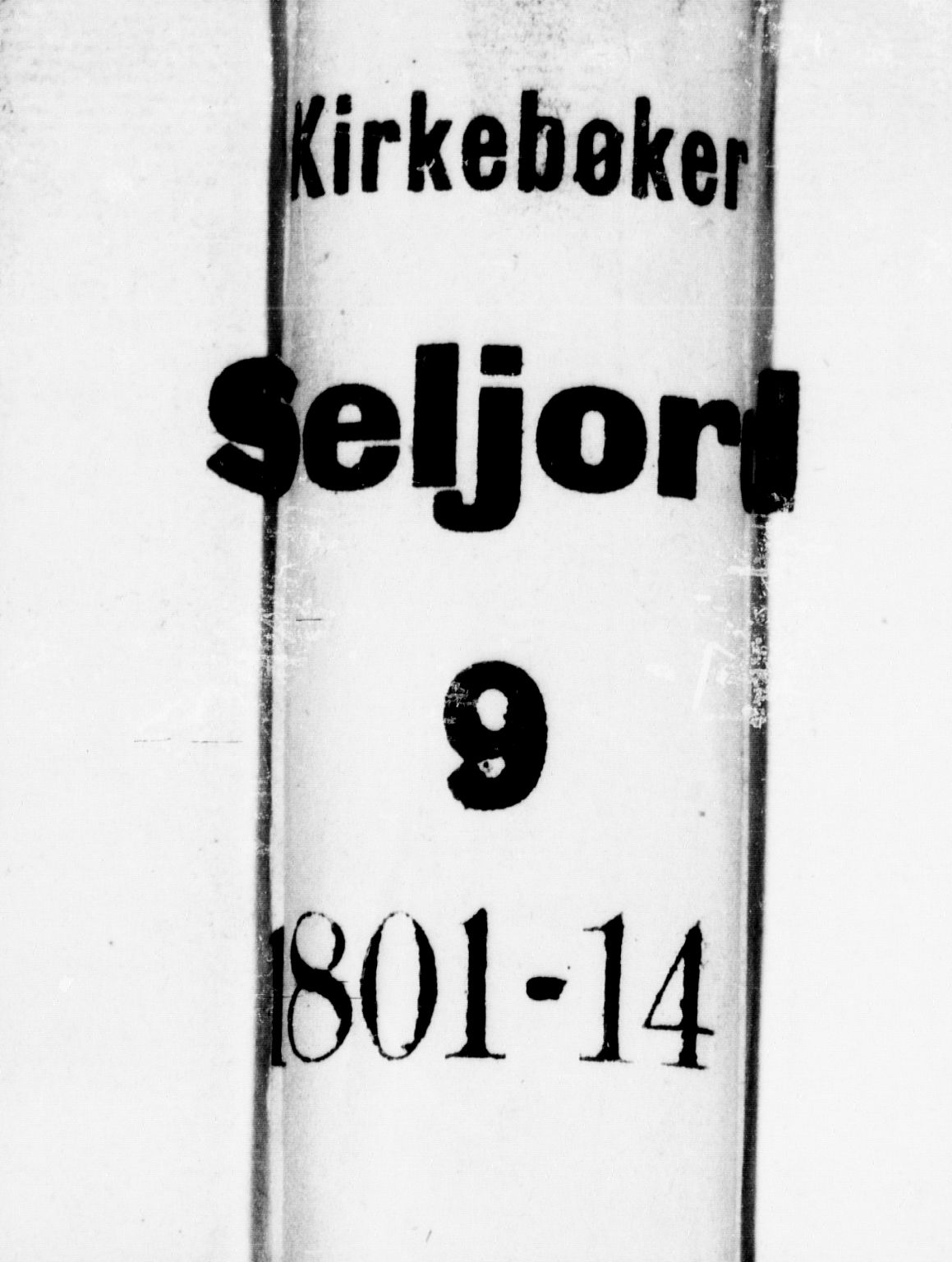 Seljord kirkebøker, SAKO/A-20/F/Fa/L0009: Ministerialbok nr. I 9, 1801-1814