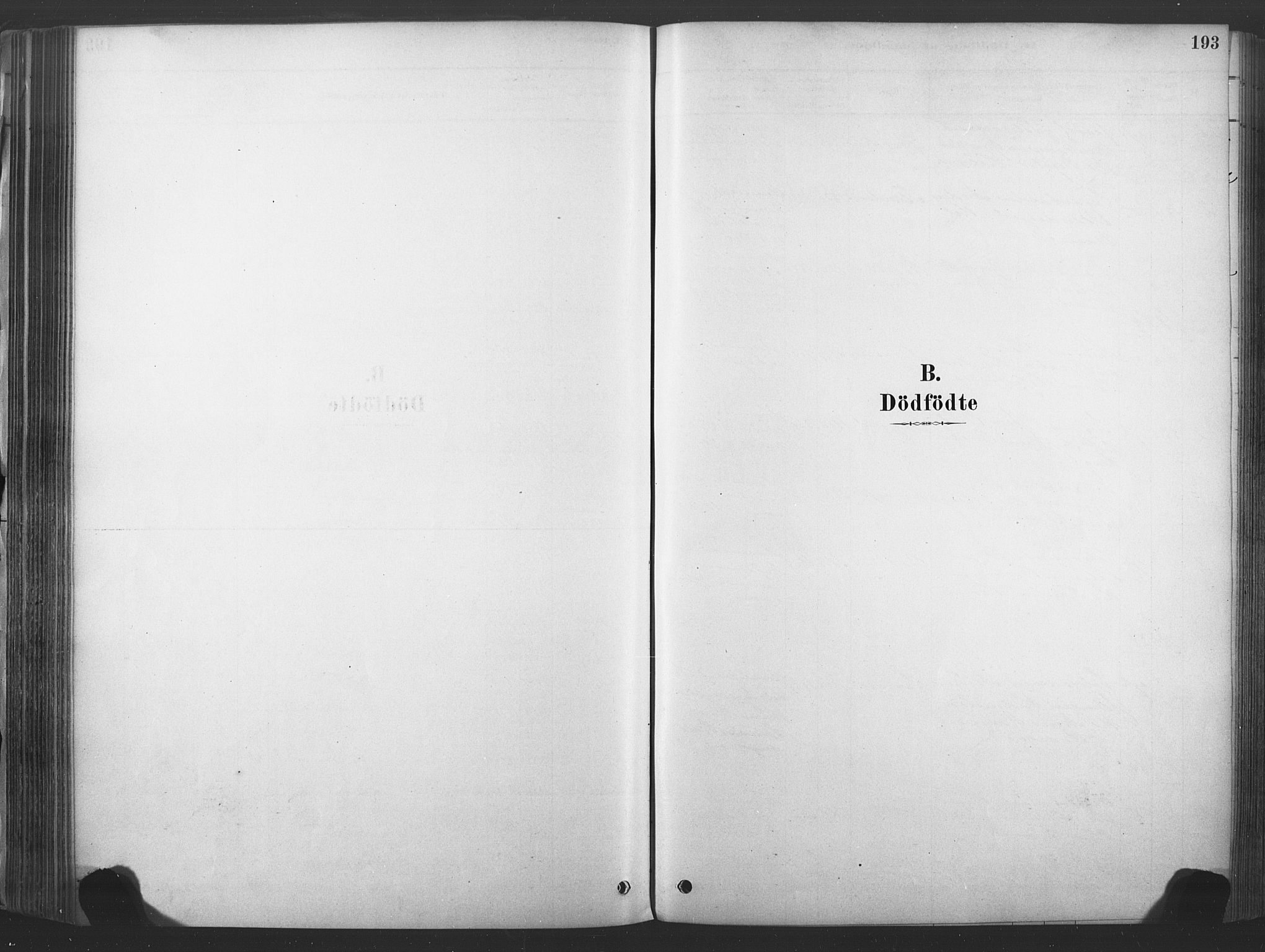 Sandsvær kirkebøker, SAKO/A-244/F/Fd/L0001: Ministerialbok nr. IV 1, 1878-1906, s. 193