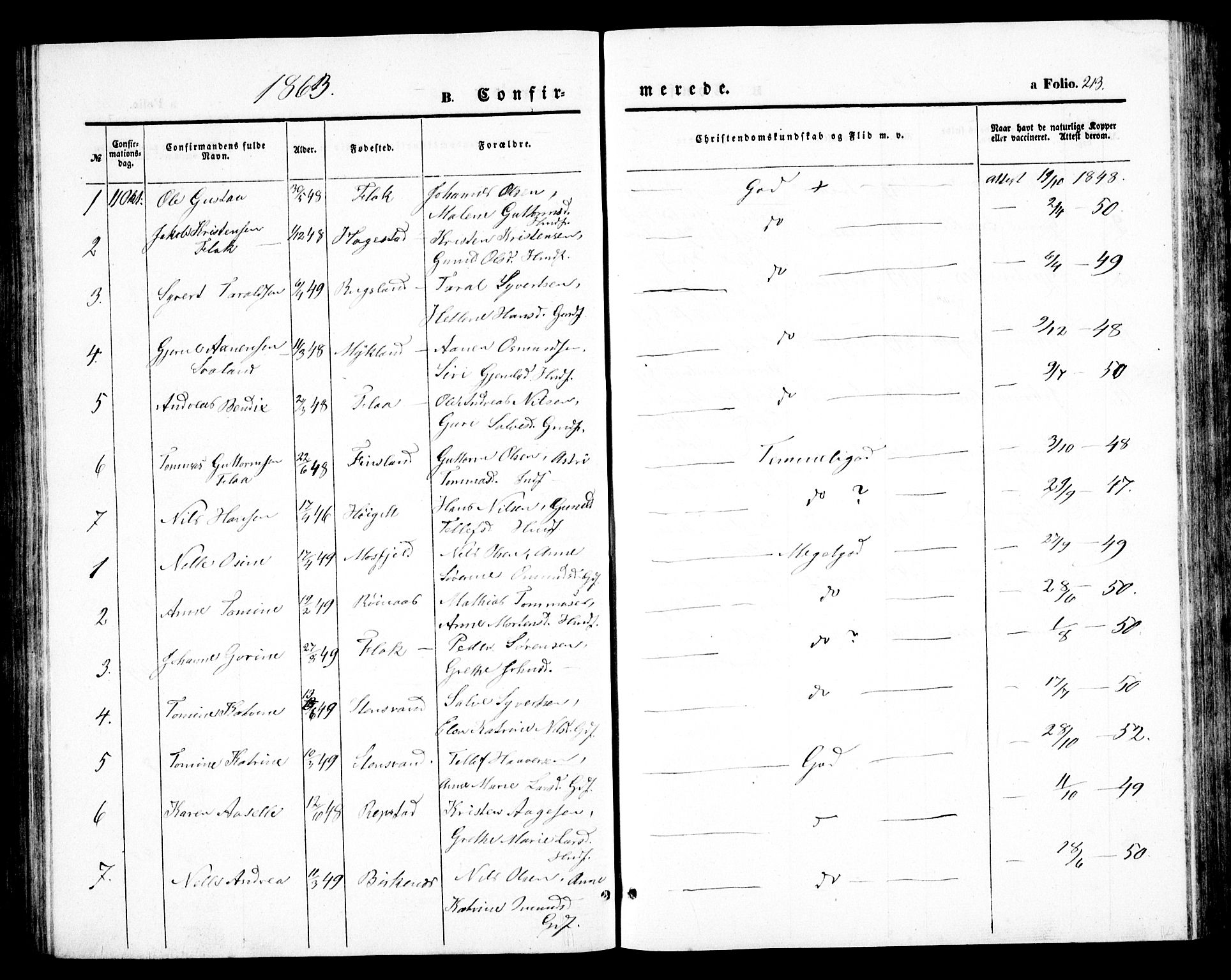Birkenes sokneprestkontor, SAK/1111-0004/F/Fb/L0002: Klokkerbok nr. B 2, 1849-1876, s. 213