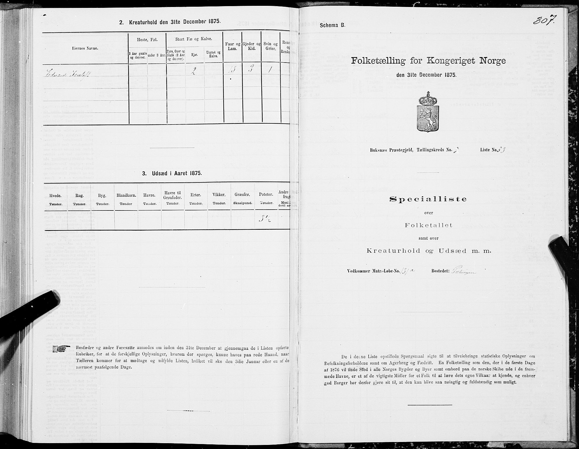 SAT, Folketelling 1875 for 1860P Buksnes prestegjeld, 1875, s. 2307