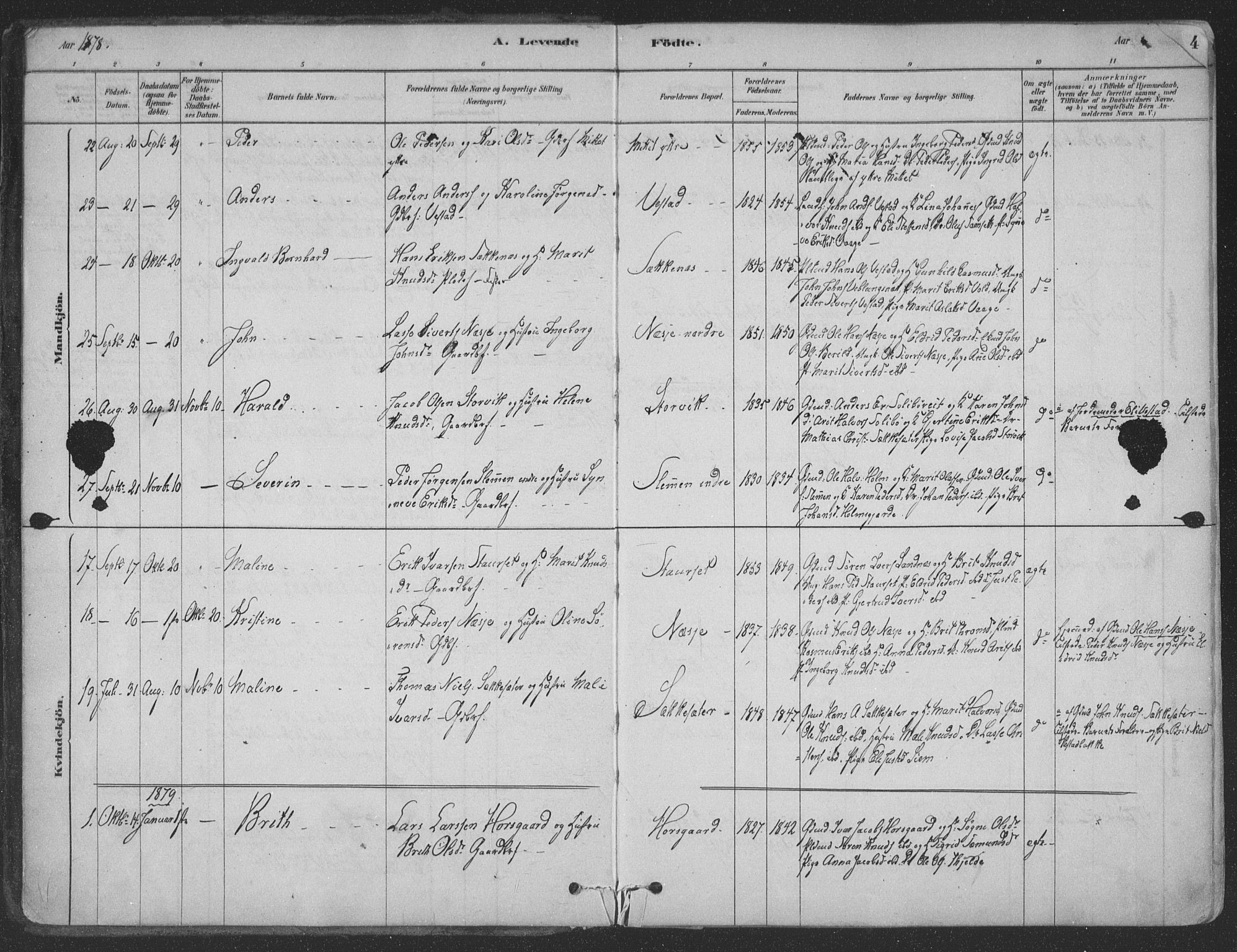 Ministerialprotokoller, klokkerbøker og fødselsregistre - Møre og Romsdal, SAT/A-1454/547/L0604: Ministerialbok nr. 547A06, 1878-1906, s. 4