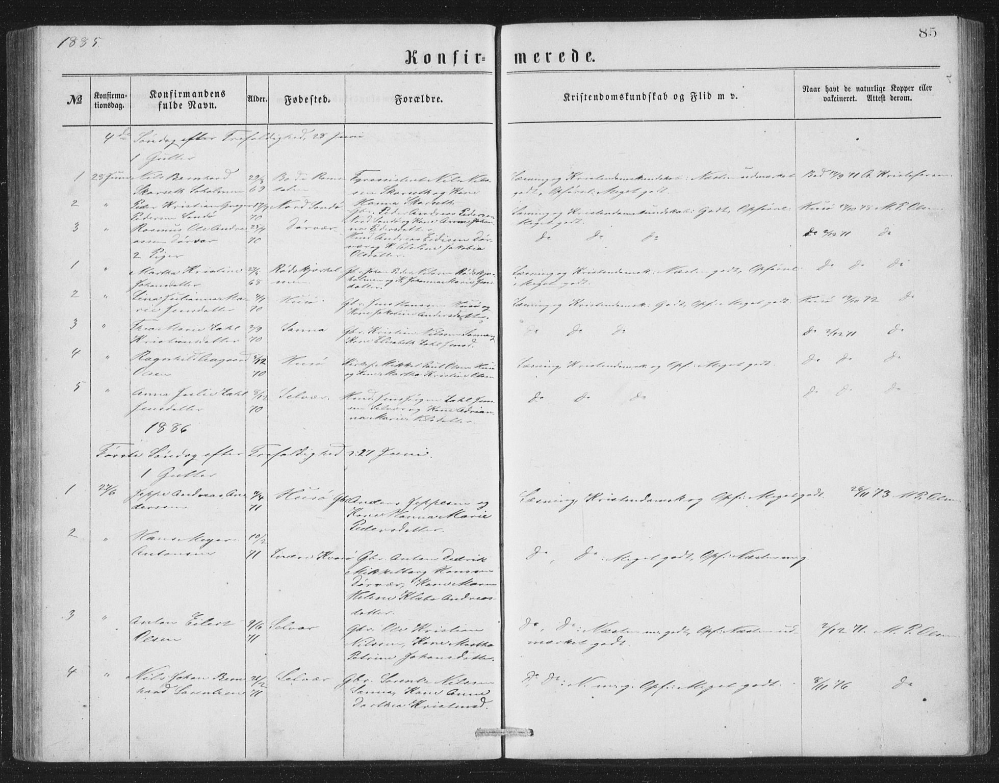 Ministerialprotokoller, klokkerbøker og fødselsregistre - Nordland, AV/SAT-A-1459/840/L0582: Klokkerbok nr. 840C02, 1874-1900, s. 85
