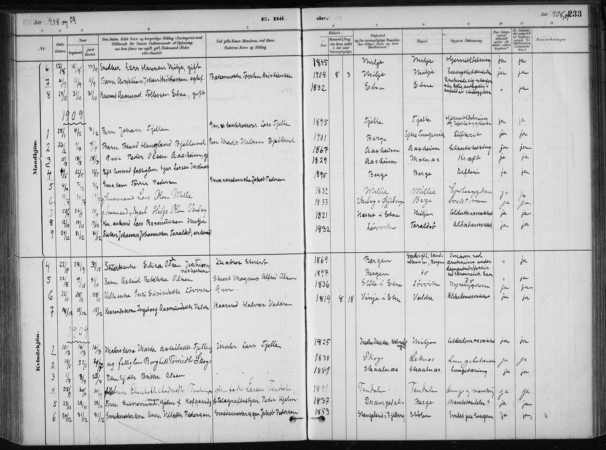 Skånevik sokneprestembete, AV/SAB-A-77801/H/Haa: Ministerialbok nr. B 1, 1879-1914, s. 233