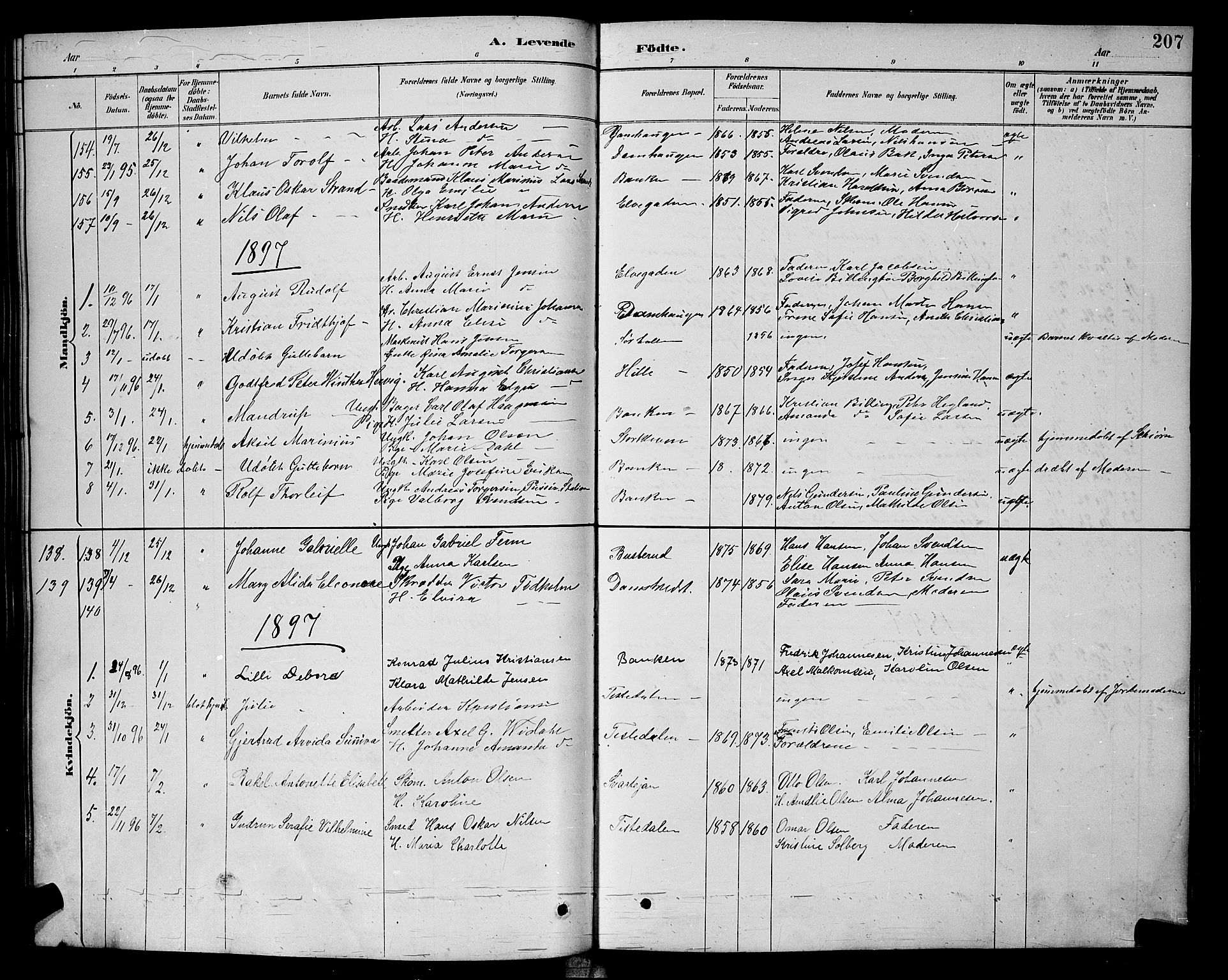 Halden prestekontor Kirkebøker, AV/SAO-A-10909/G/Ga/L0008: Klokkerbok nr. 8, 1885-1899, s. 207