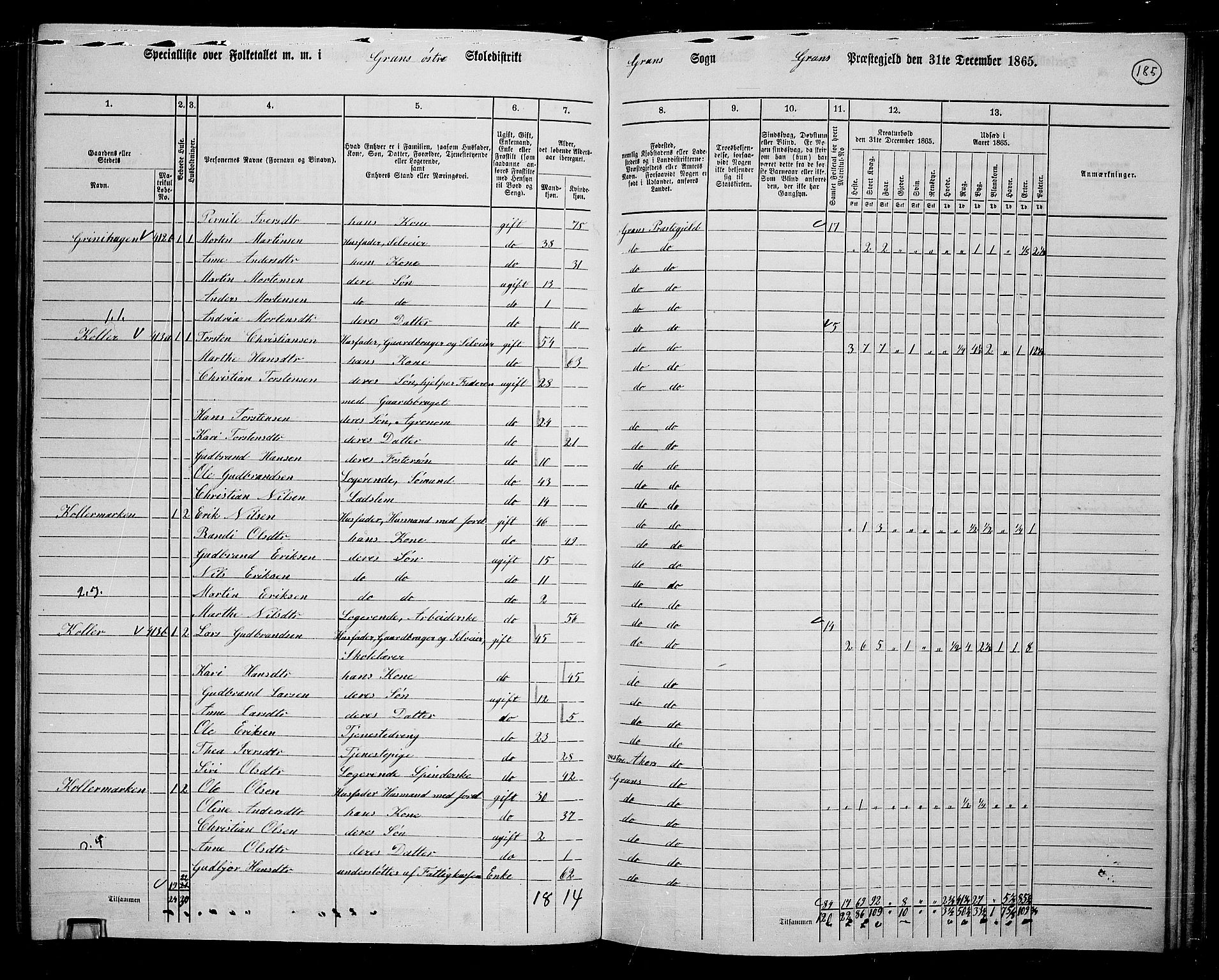 RA, Folketelling 1865 for 0534P Gran prestegjeld, 1865, s. 365