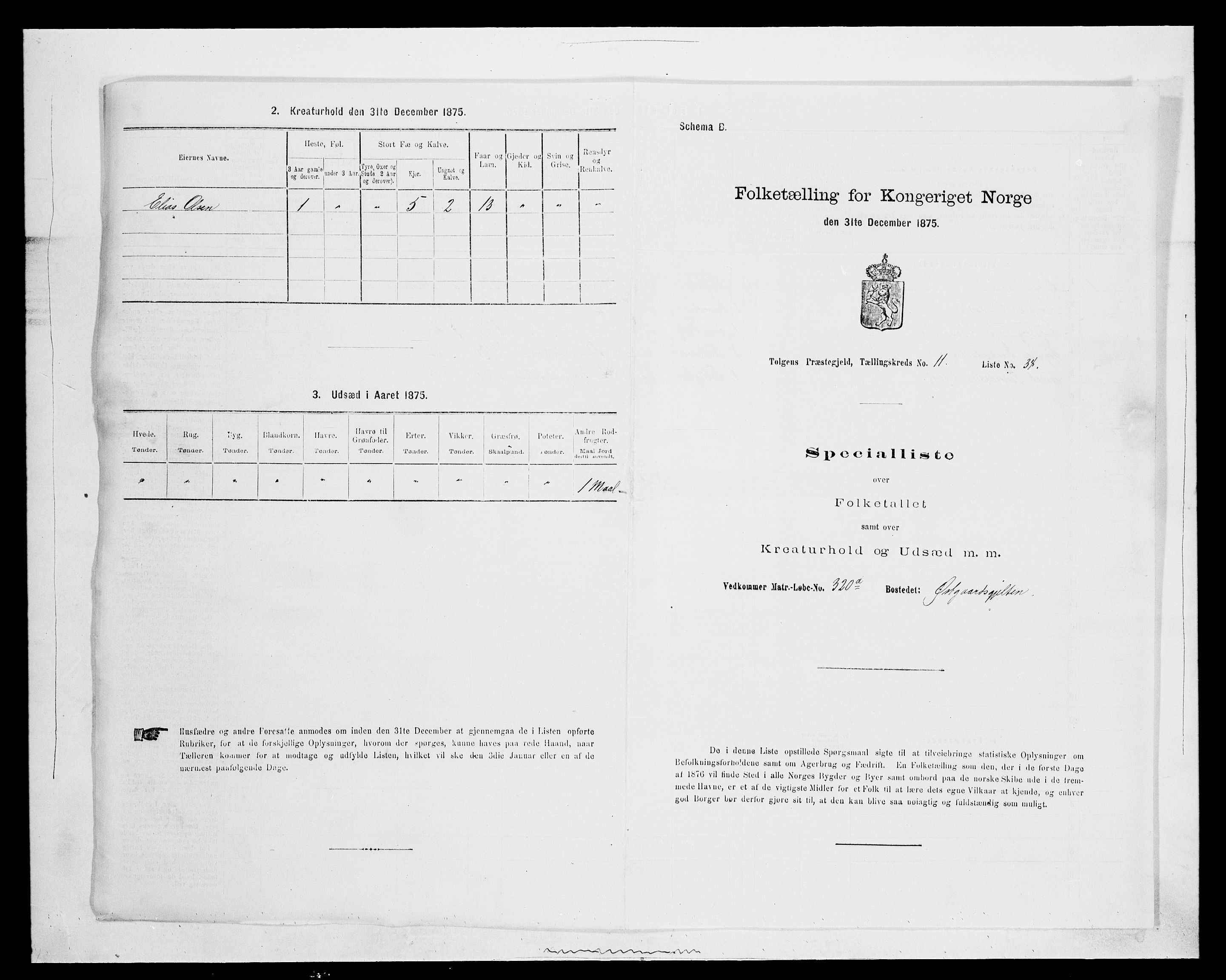 SAH, Folketelling 1875 for 0436P Tolga prestegjeld, 1875, s. 1151