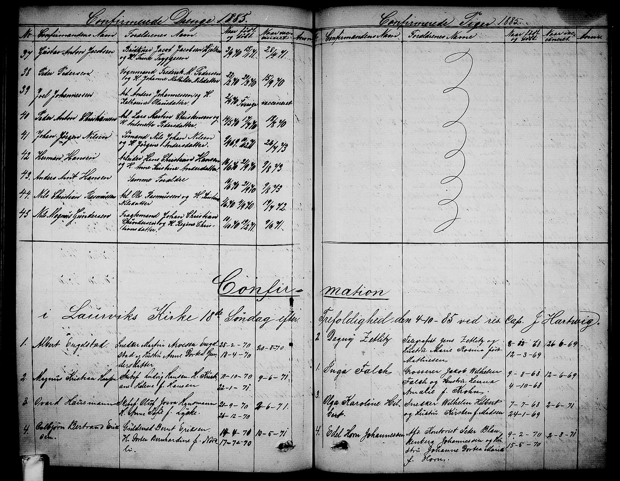 Larvik kirkebøker, AV/SAKO-A-352/G/Ga/L0004: Klokkerbok nr. I 4, 1871-1888, s. 301