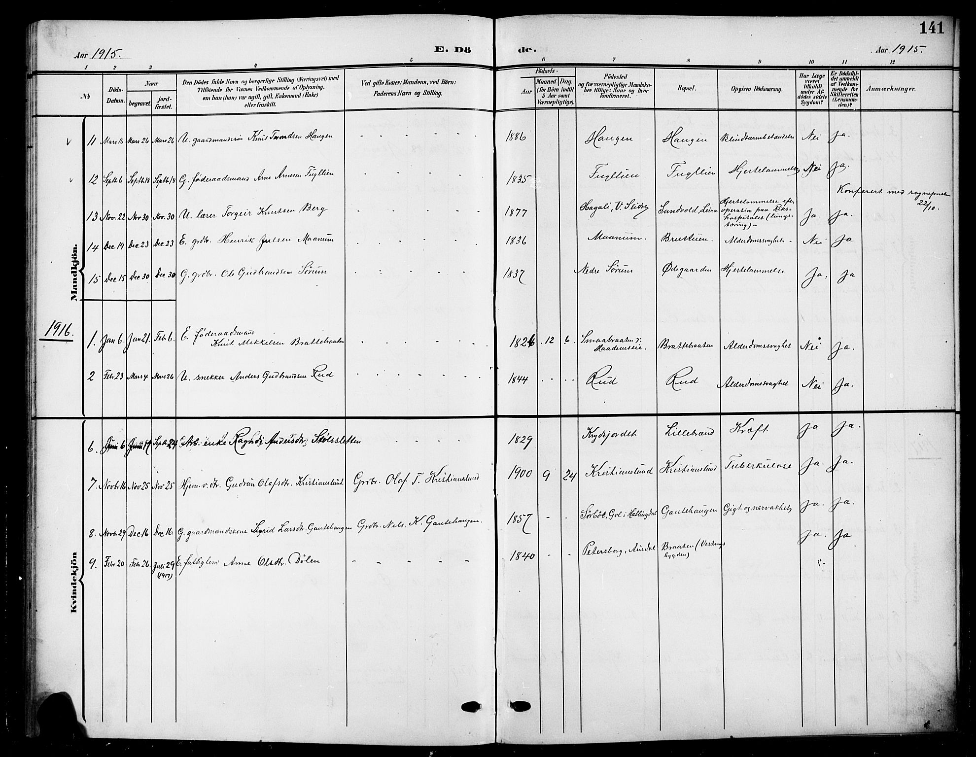 Nord-Aurdal prestekontor, SAH/PREST-132/H/Ha/Hab/L0012: Klokkerbok nr. 12, 1907-1920, s. 141